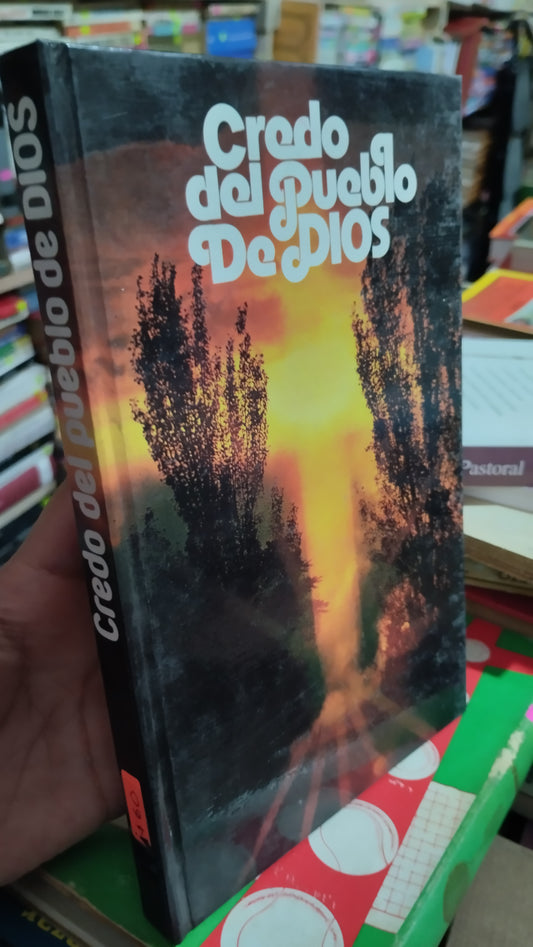 CREDO DEL PUEBLO DE DIOS POR J J CASTRO LIBRO USADO RELIGION ALDAMA