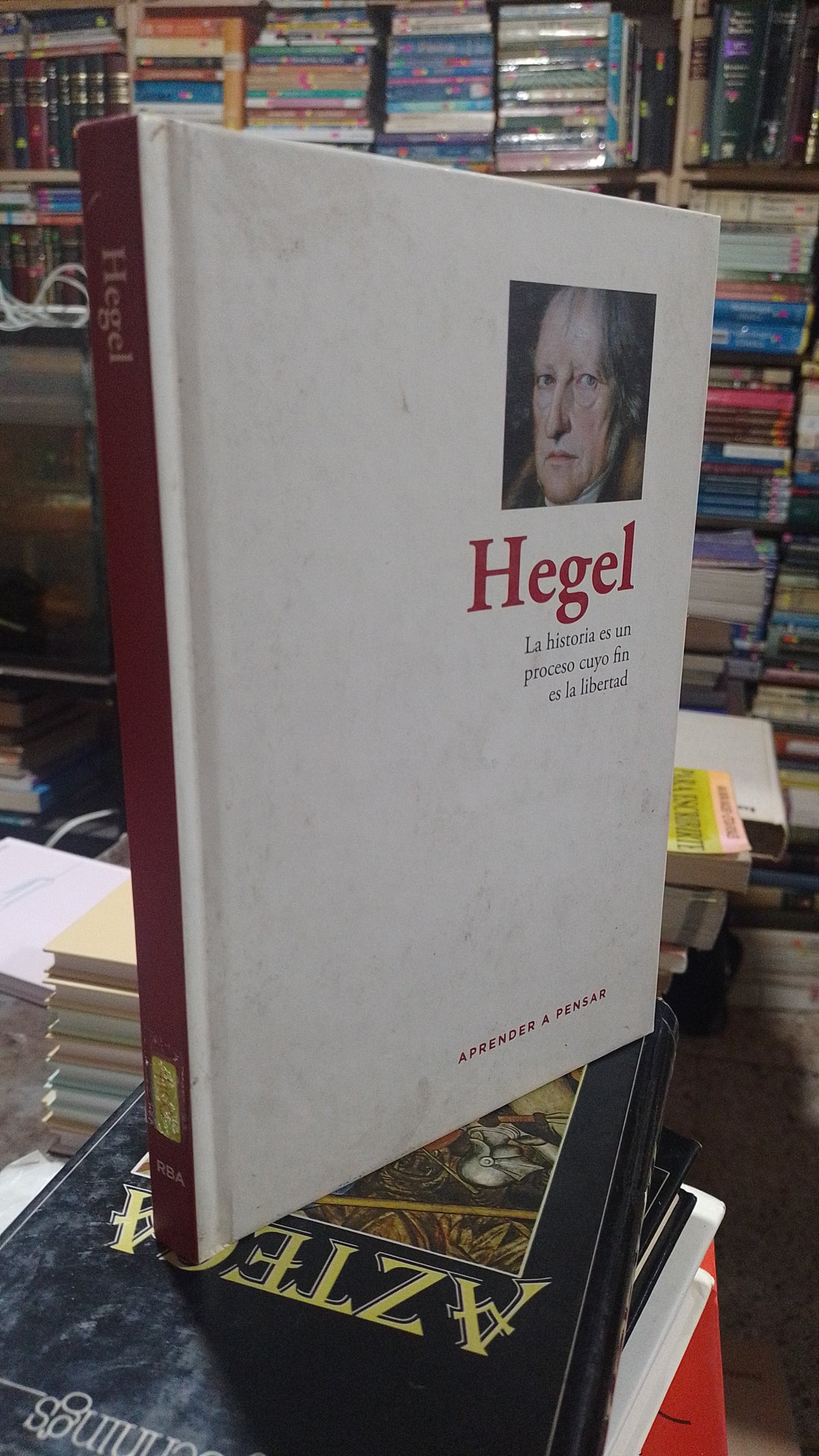 HEGEL USADO SOCIOLOGIA ALDAMA