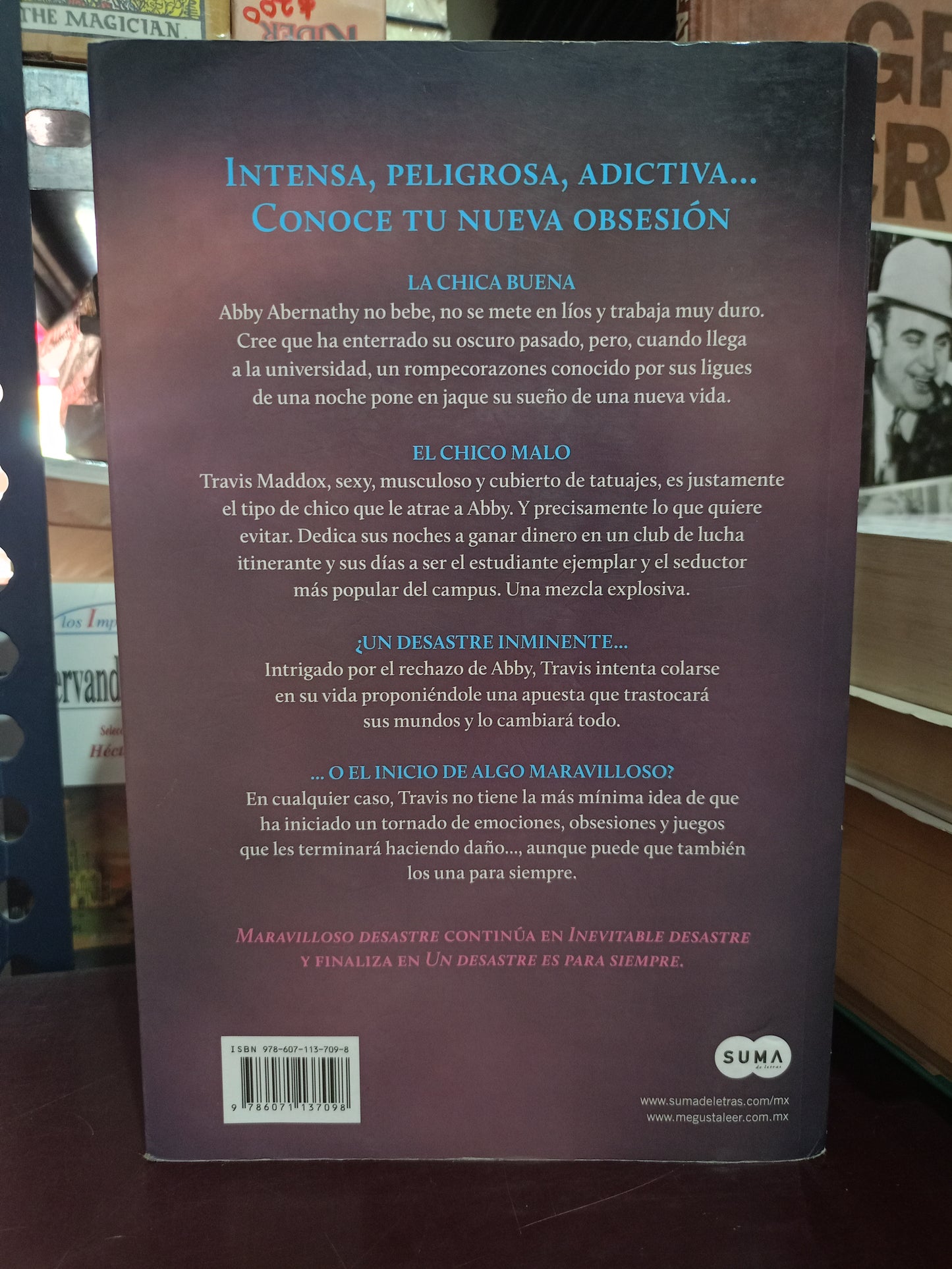MARAVILLOSO DESASTRE POR JAMIE MCGUIRE USADO NOVELA LITERARIO 305