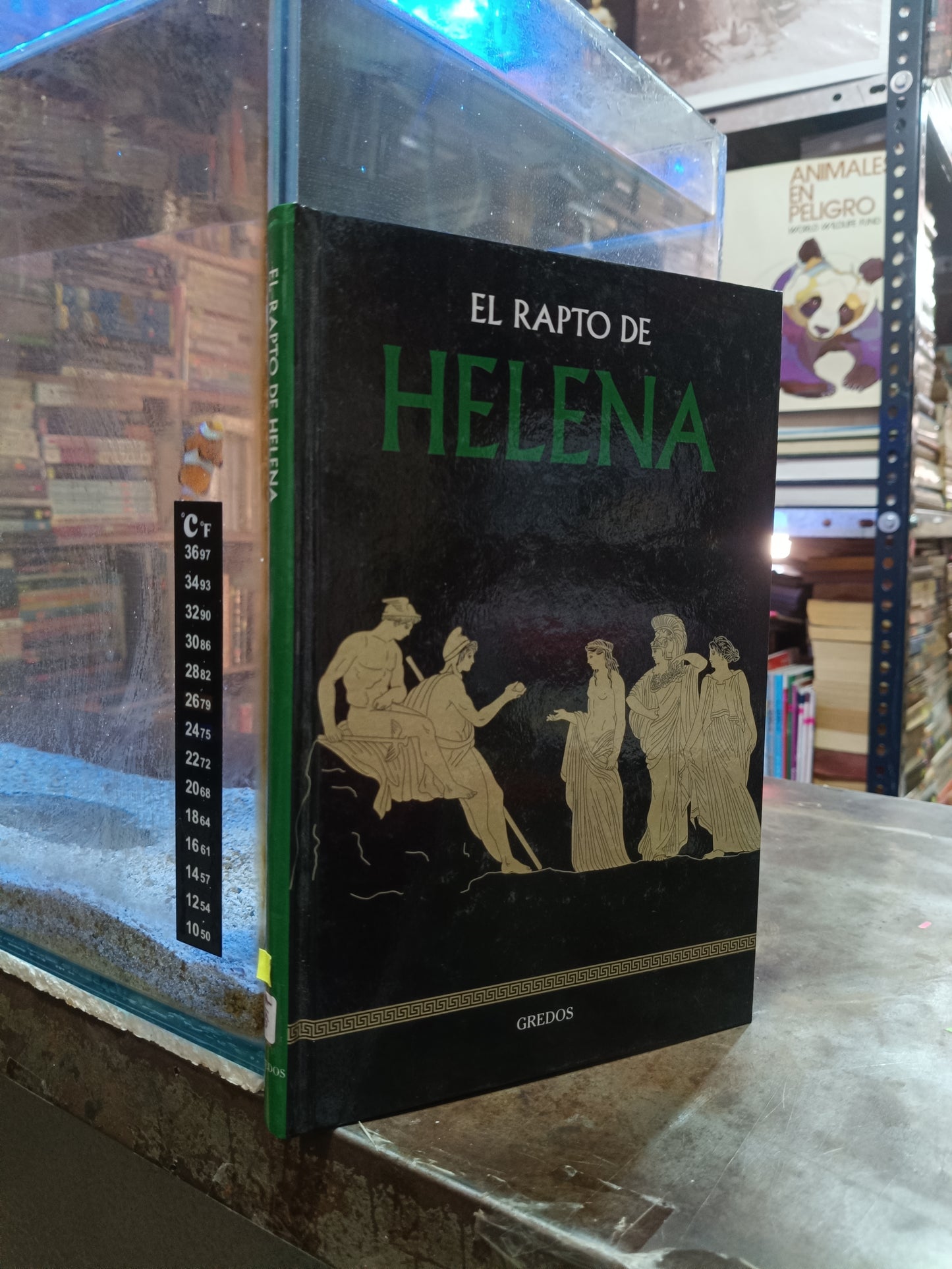 EL RAPTO DE HELENA USADO HISTORIA ALDAMA