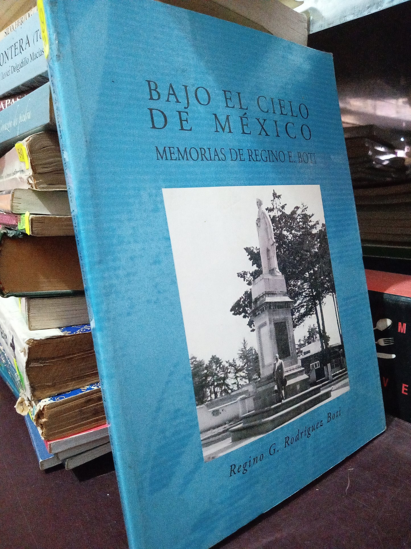 BAJO EL CIELO DE MEXICO POR REGINO G. RODRIGO BOTI USADO HISTORIA LITERARIO 305