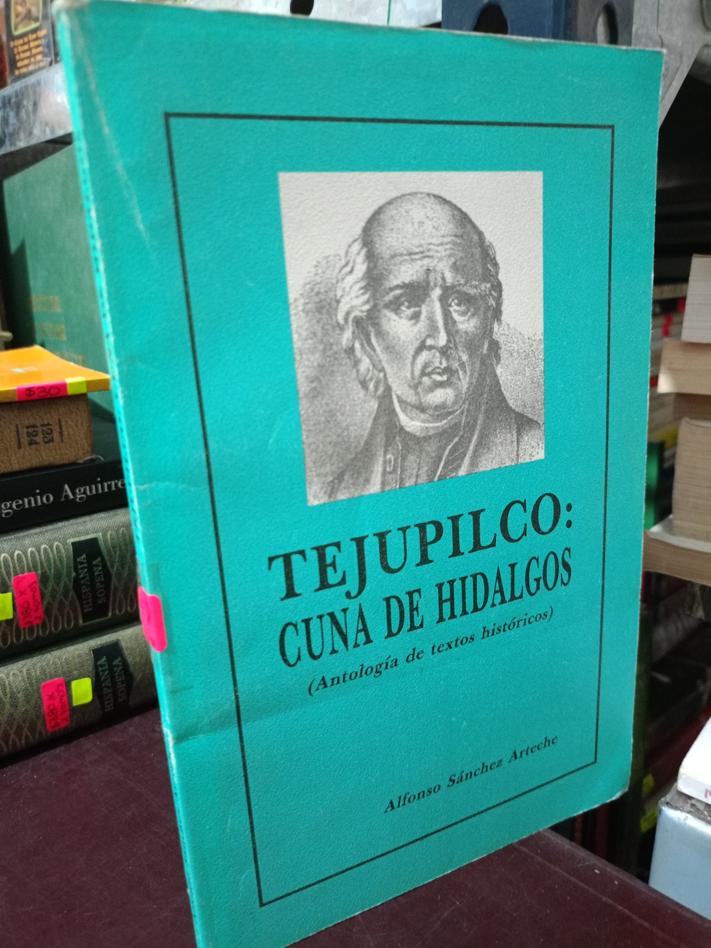TEJUPILCO CUNA DE HIDALGOS POR ALFONSO SANCHEZ ARTECHE USADO EDOMEX LITERARIO 305
