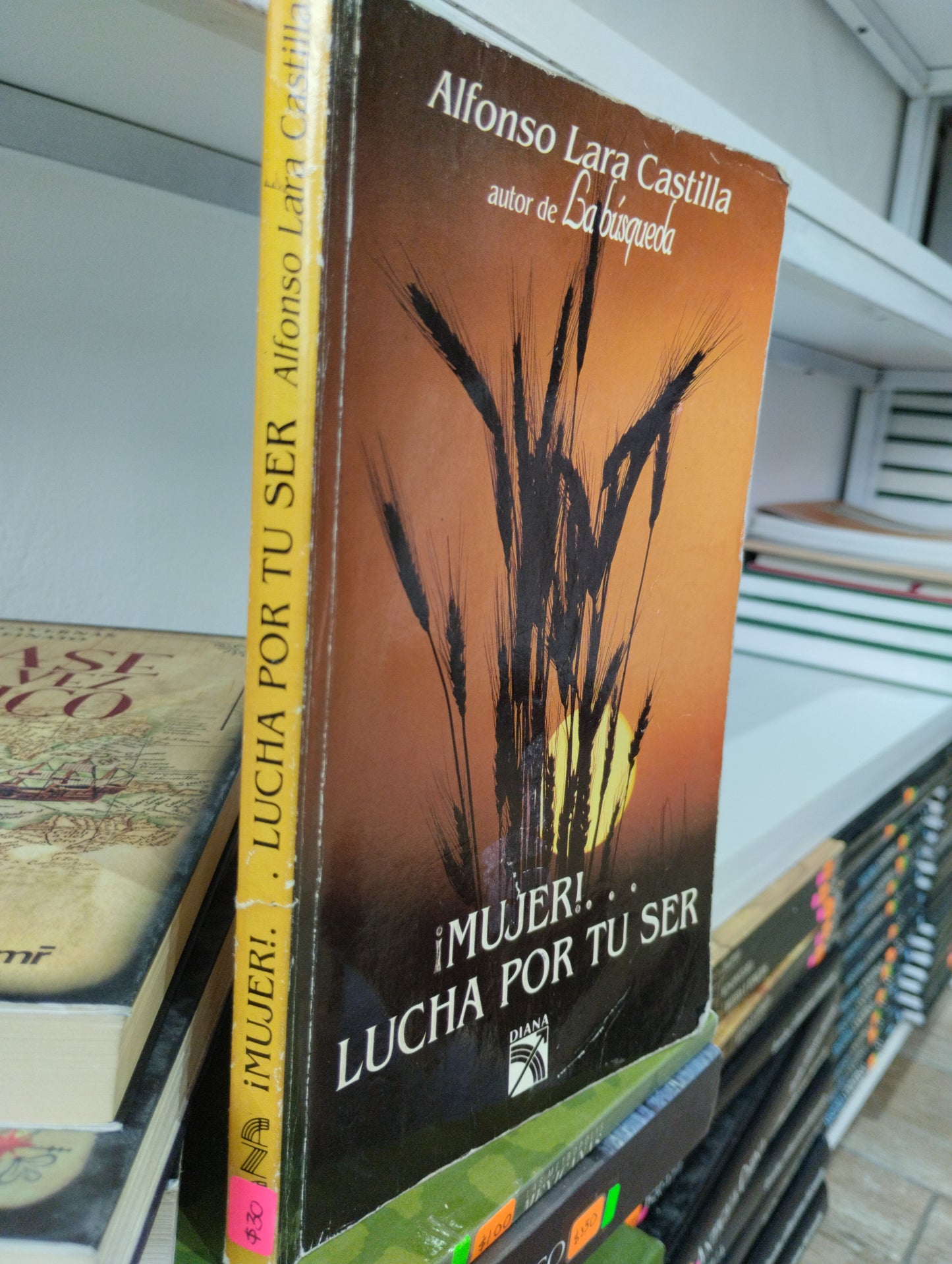 MUJER LUCHA POR TU SER ALFONSO LARA CASTILLA USADO SUPERACION PERSONAL JUAREZ 515