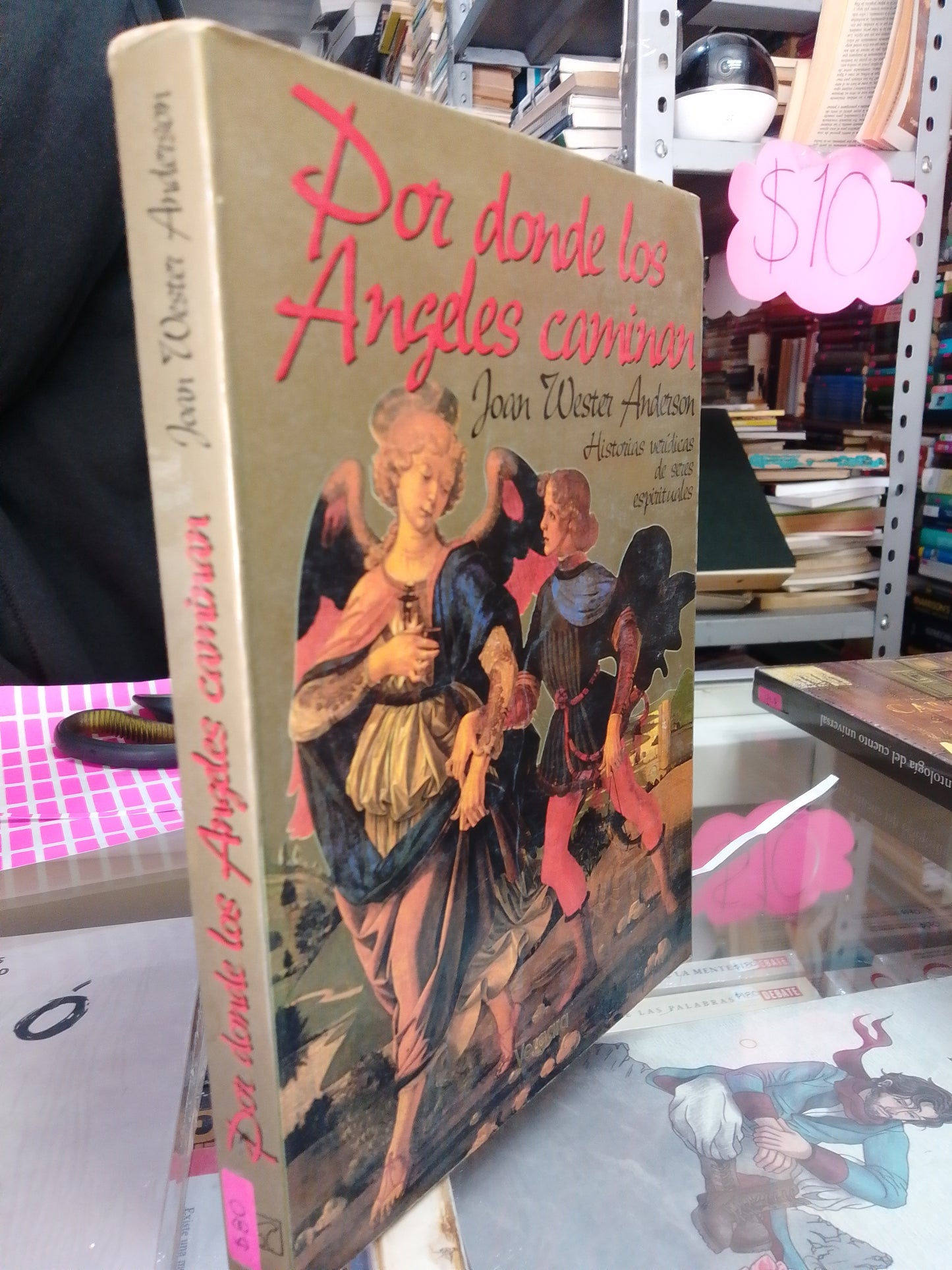 POR DONDE LOS ANGELES CAMINAN POR JOAN WESTER ANDERSON USADO NOVELA JUÁREZ