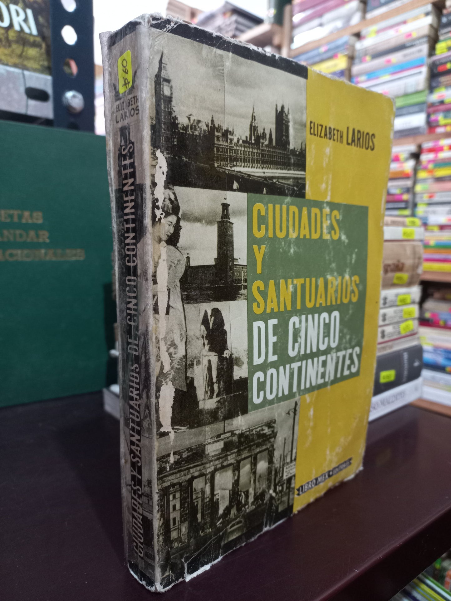 CIUDADES Y SANTUARIOS DE CINCO CONTINENTES POR ELIZABETH LARIOS USADO HISTORIA LITERARIO 305