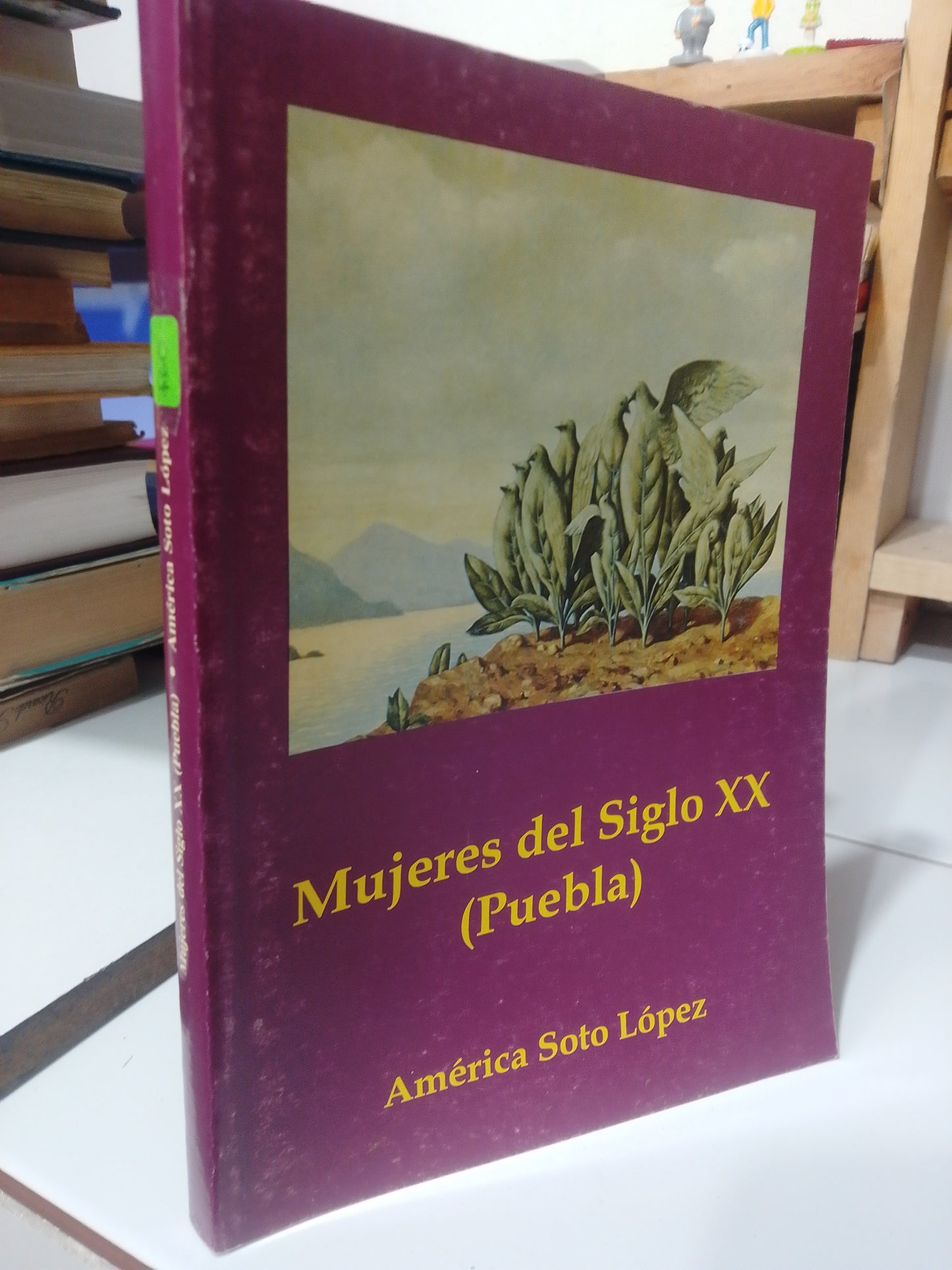 MUJERES DEL SIGLO XX PUEBLA POR AMERICA SOTO LOPEZ USADO HISTORIA JUAREZ