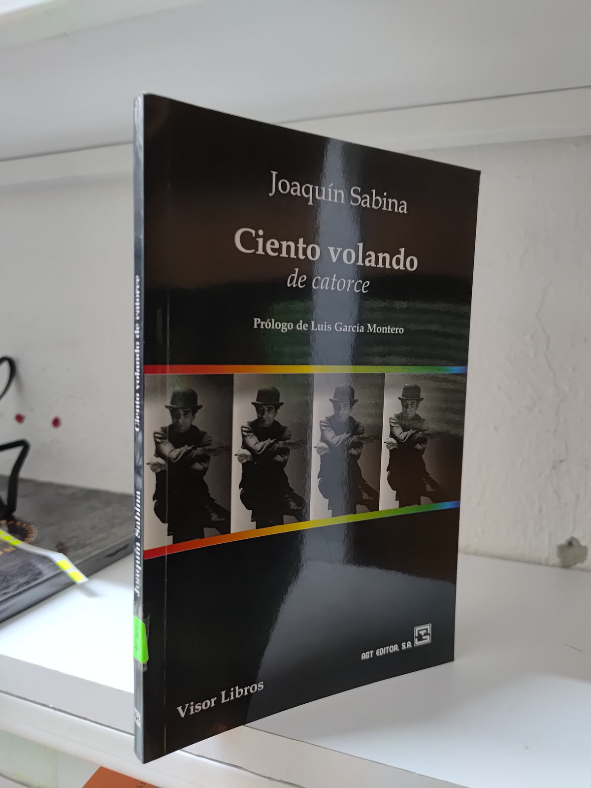 CIENTO VOLANDO POR JOAQUIN SABINA USADO POESIA JUAREZ 515