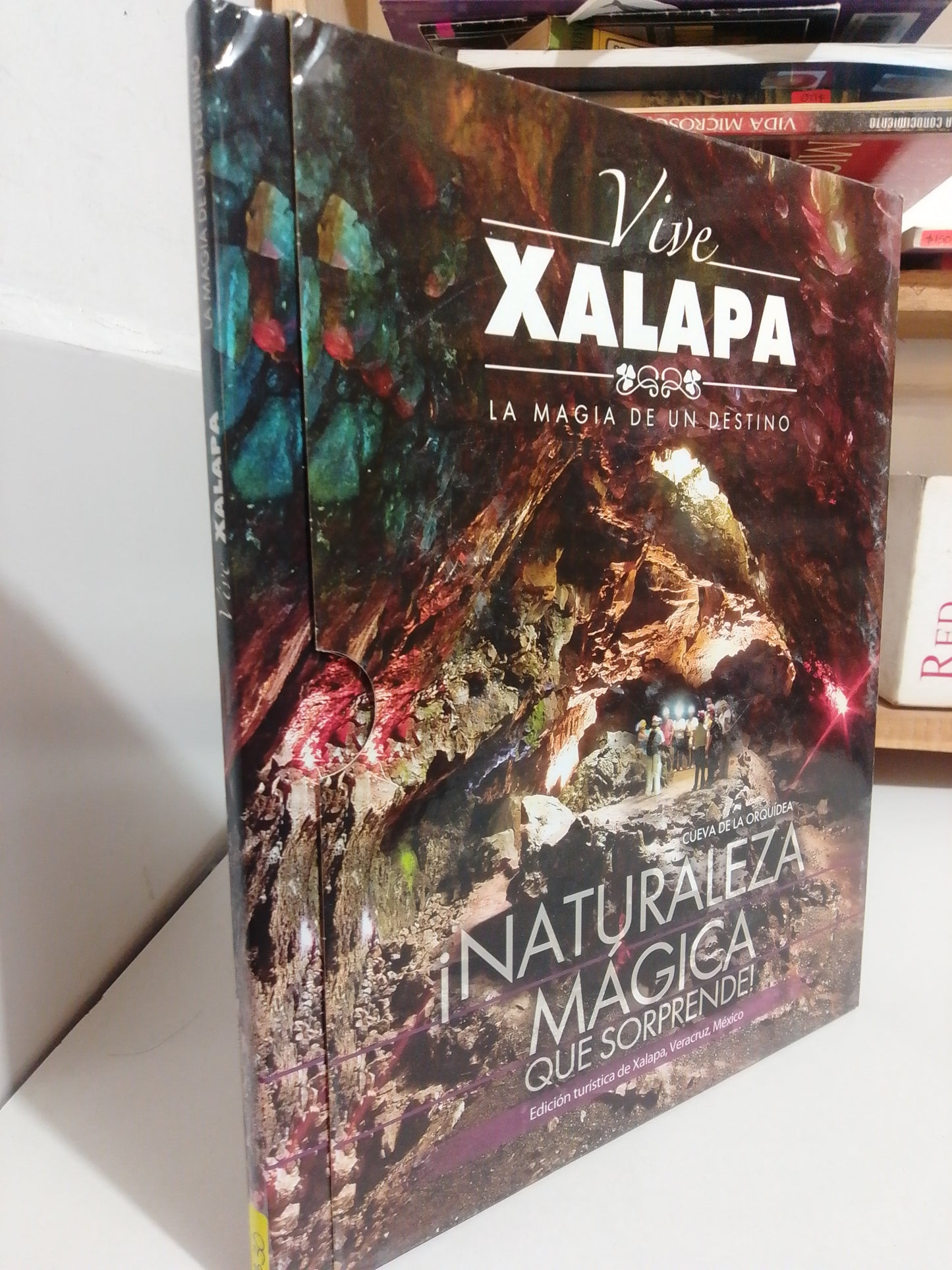 VIVE XALAPA LA MAGIA DE UN DESTINO USADO HISTORIA JUAREZ