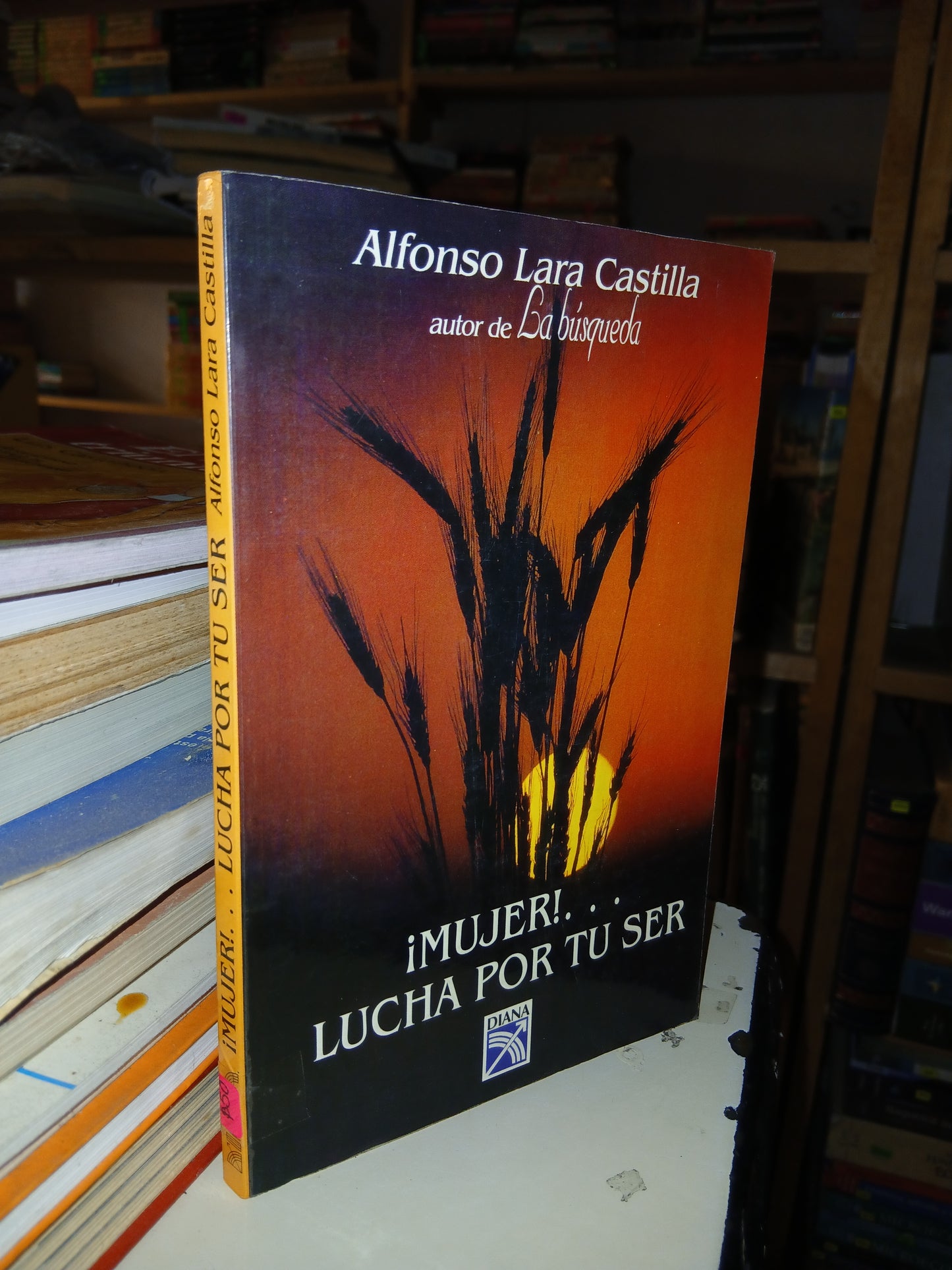 ¡MUJER!... LUCHA POR TU SER USADO SUPERACIÓN PERSONAL LITERARIO 207