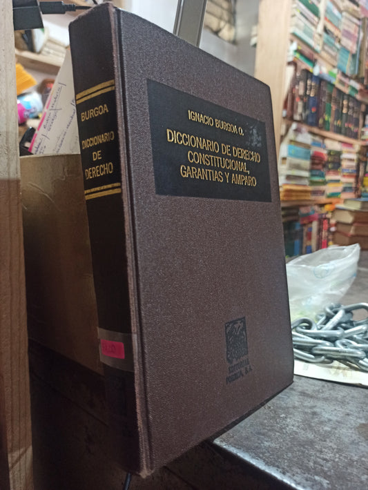 DICCIONARIO DE DERECHO CONSTITUCIONAL GARANTIAS Y AMPARO POR IGNACIO BURGOA O. USADO DERECHO ALDAMA