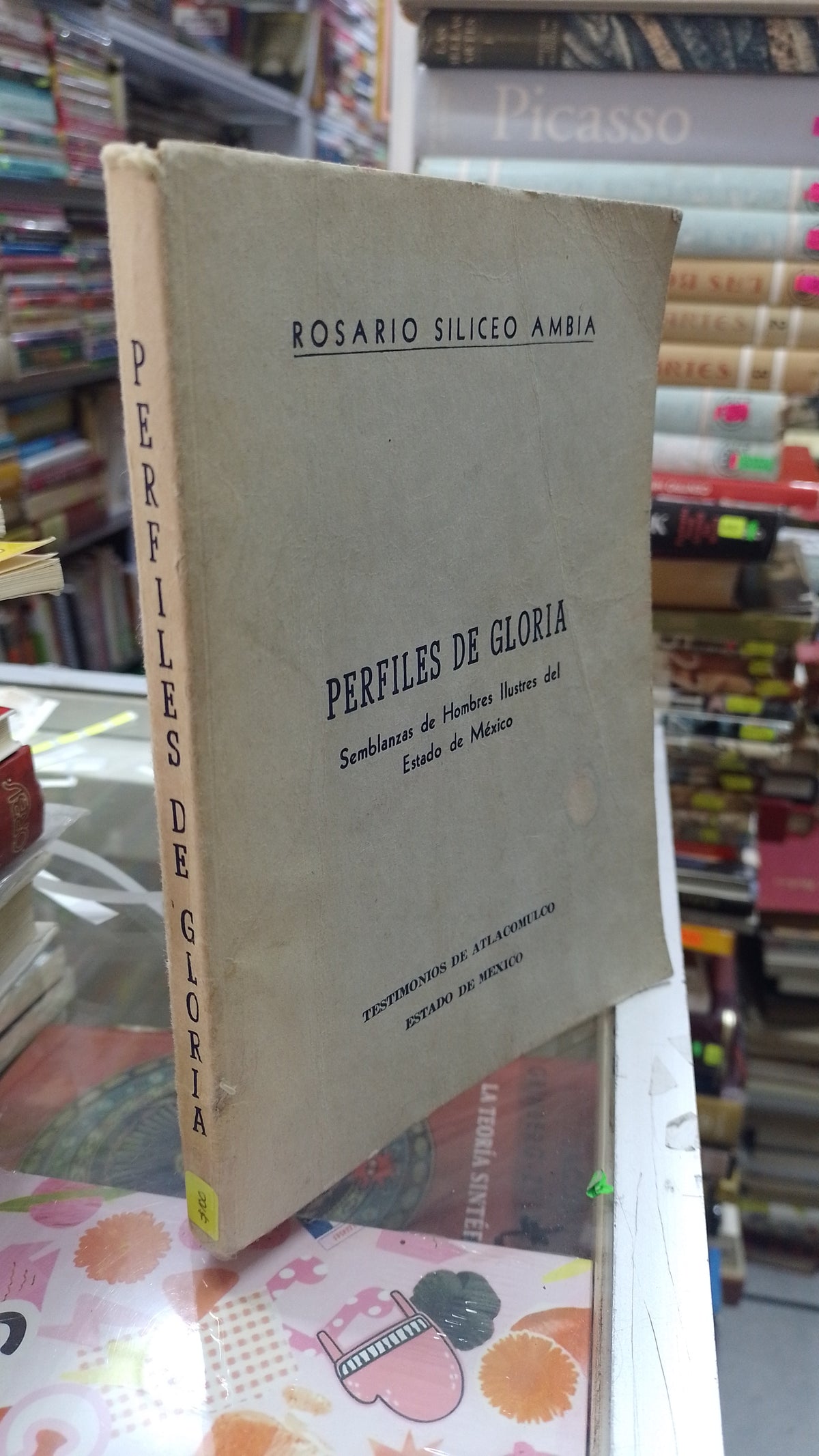 PERFILES DE GLORIA POR ROSARIO SILICEO AMBIA USADO POLITICA JUAREZ 507