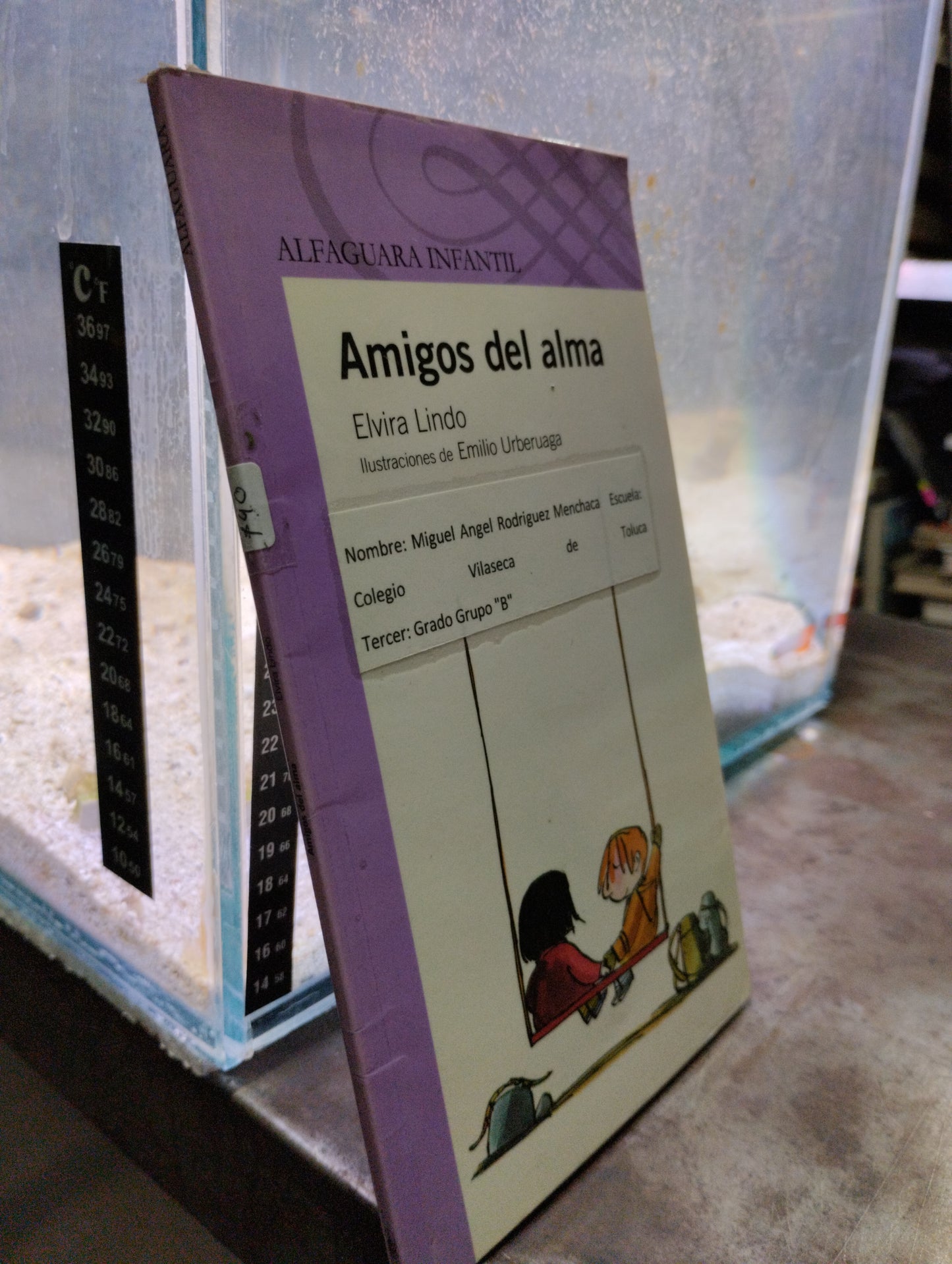 AMIGOS DEL ALMA POR ELVIRA LINDO USADO INFANTIL ALDAMA