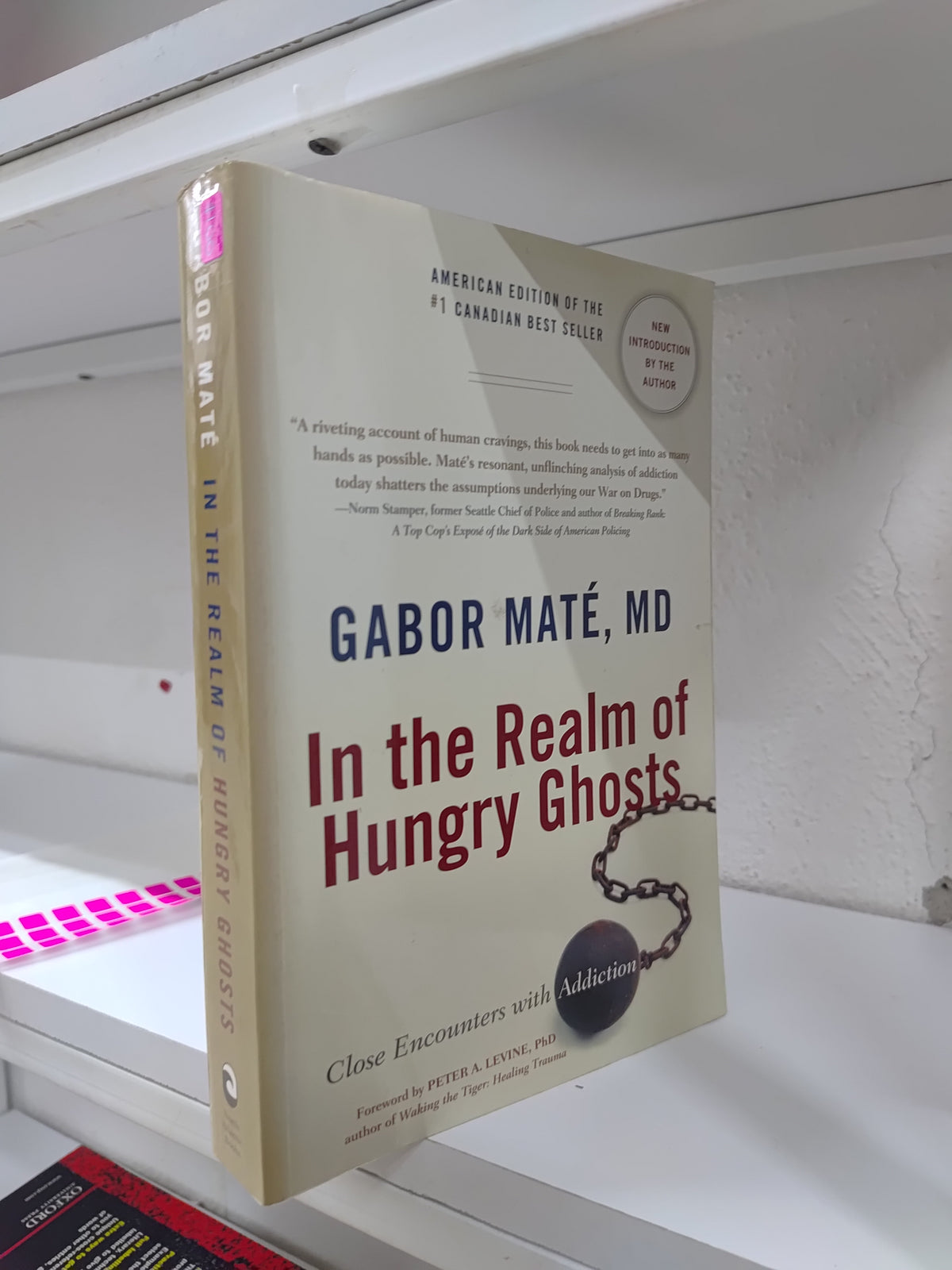 IN THE REALM OF HUNGRY GHOSTS POR GABOR MATE USADO IDIOMAS JUAREZ 515