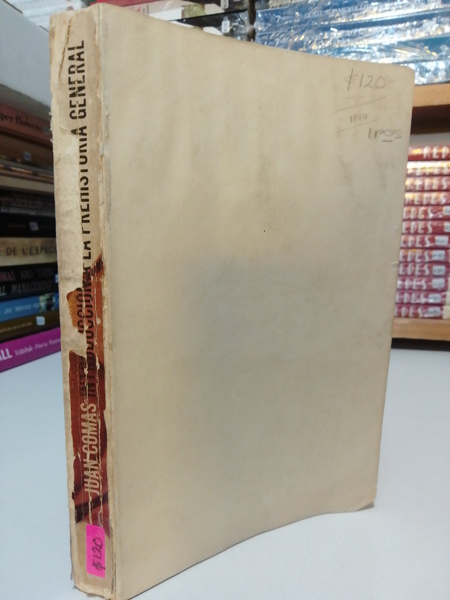 INTRODUCCION A LA PREHISTORIA GENERAL POR JUAN COMAS USADO HISTORIA JUAREZ