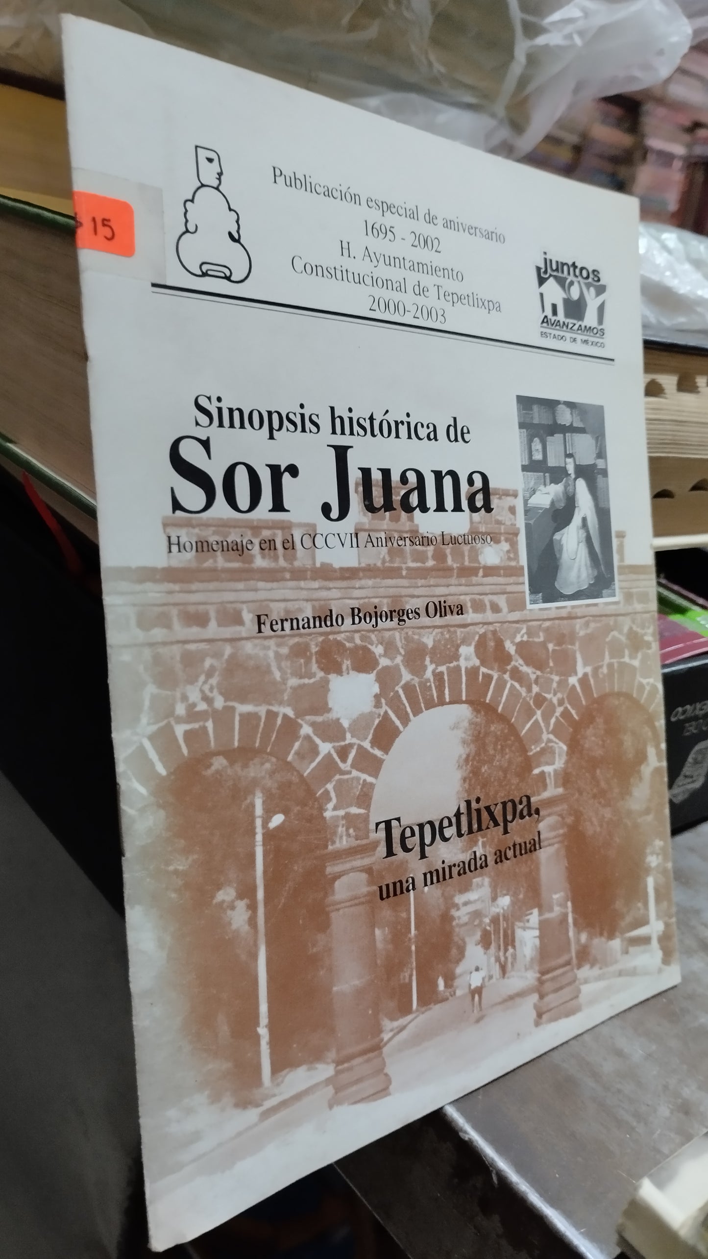 SINOPSIS DE SOR JUANA POR FERNANDO BOJORGES OLIVA LIBRO USADO HISTORIA ALDAMA