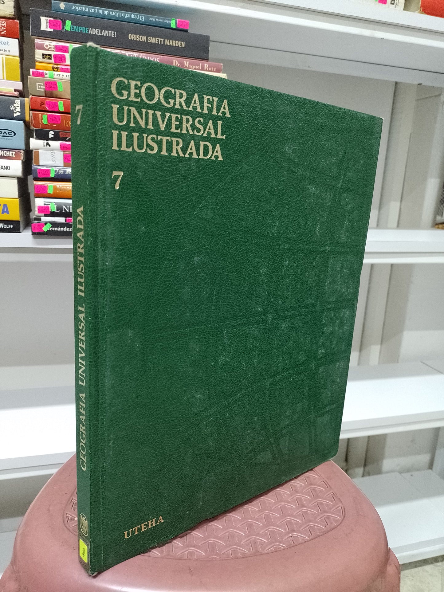 GEOGRAFIA UNIVERSAL ILUSTRADA VOLUMEN VII AMERICA ANDINA Y DEL RIO DE LA PLATA POR UTEHA USADO GEOGRAFIA JUAREZ 515