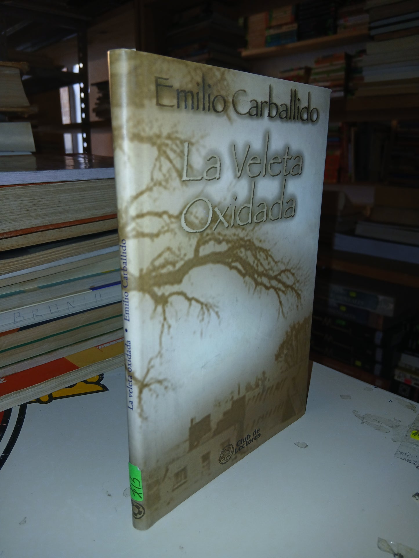 LA VELETA OXIDADA POR EMILIO CARBALLIDO USADO NOVELA LITERARIO 207