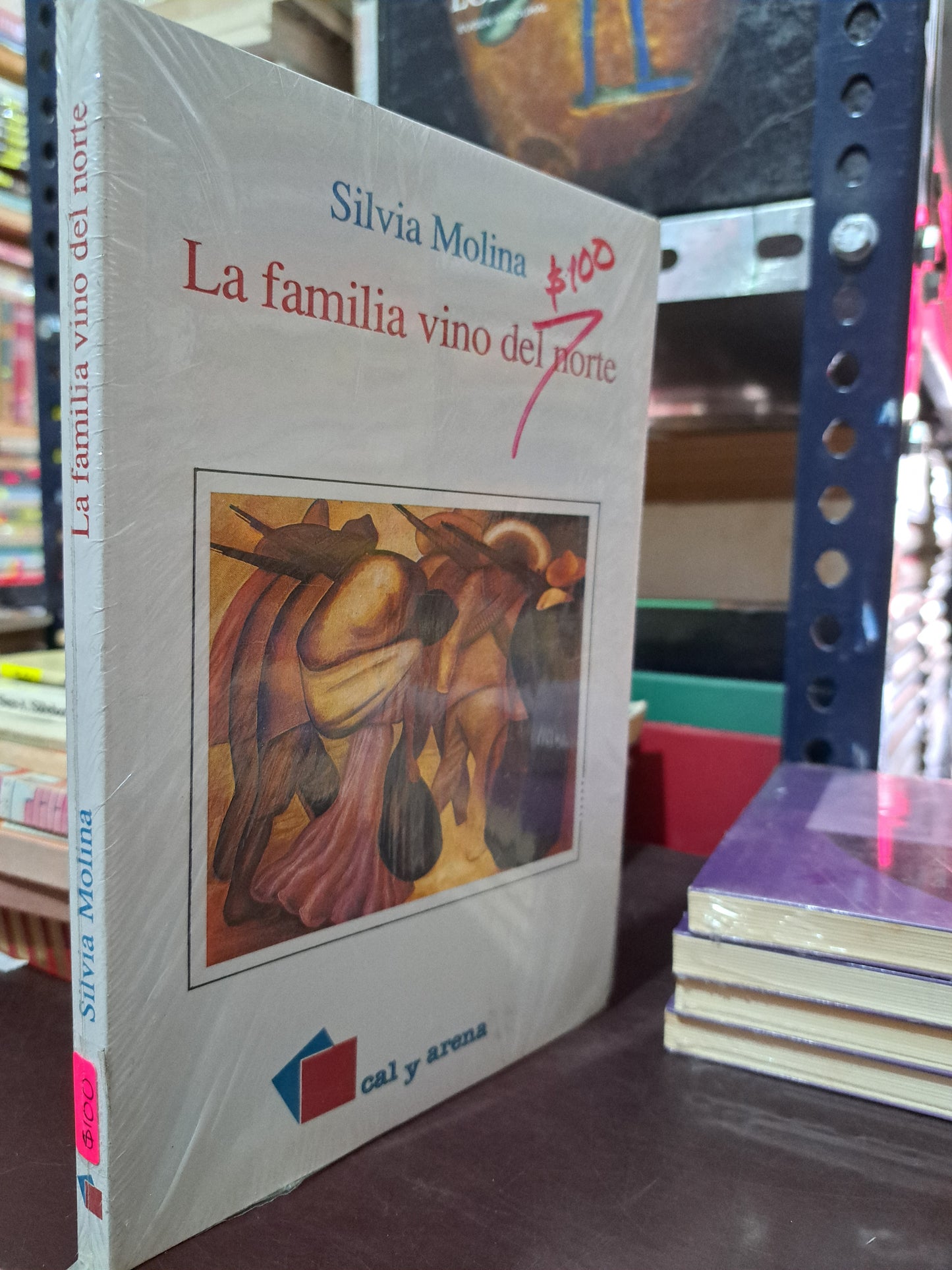 LA FAMILIA VINO DEL NORTE SILVIA MOLINA NUEVO LIBROS NUEVOS LITERARIO 305