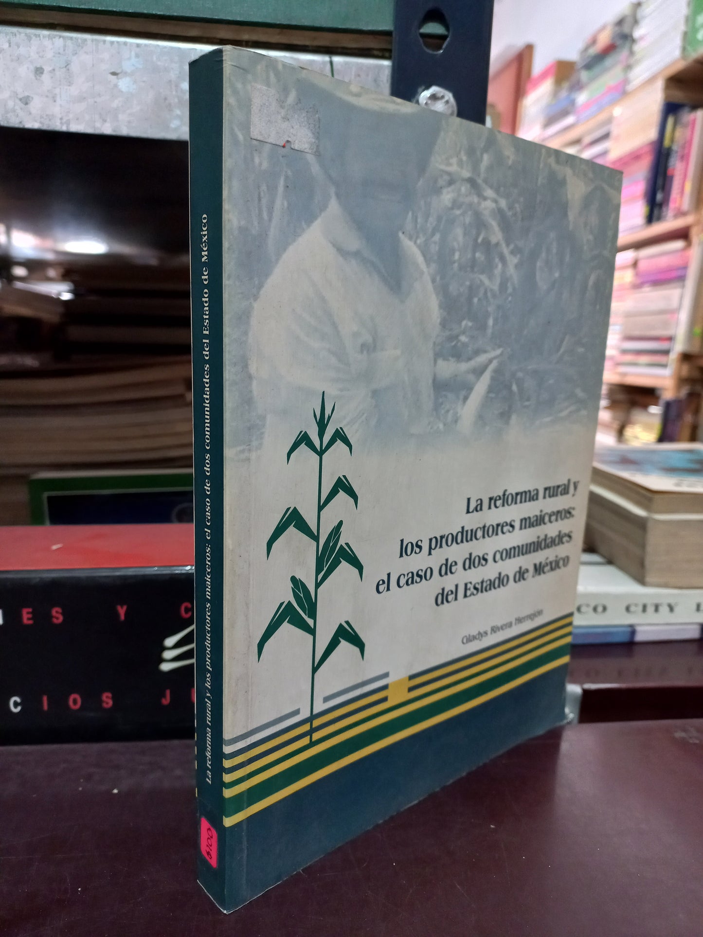 LA REFORMA RURAL Y LOS PRODUCTORES MAICEROS EL CASO DE DOS COMUNIDADES DEL ESTADO DE MEXICO POR GLADYS RIVERA HERREJON USADO ESTADO DE MEXICO LITERARIO 305