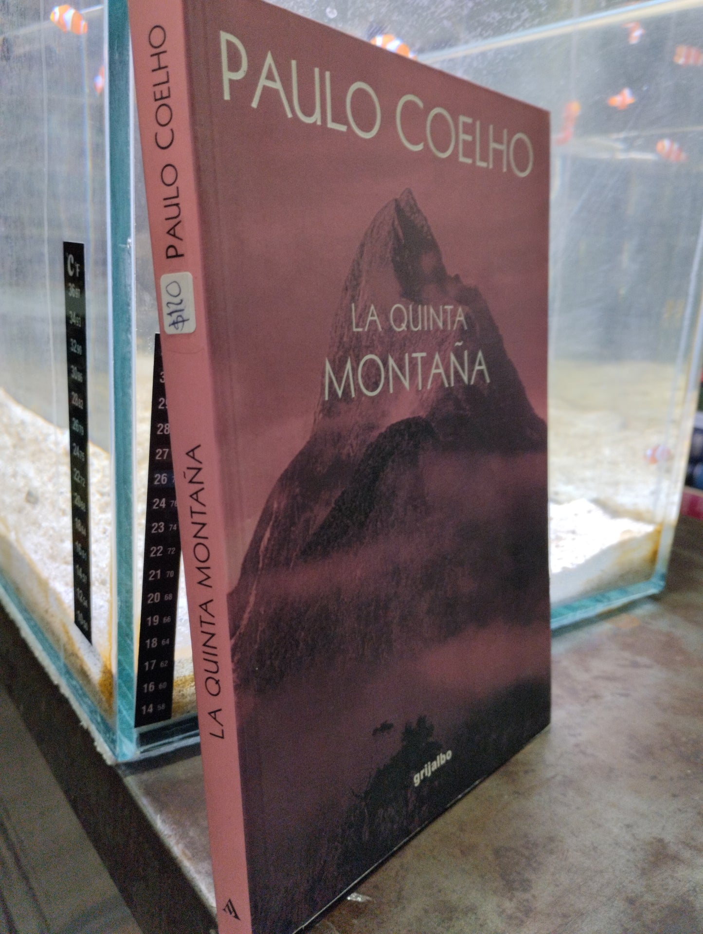 LA QUINTA MONTAÑA POR PAULO COELHO USADO SUPERACION PERSONAL ALDAMA