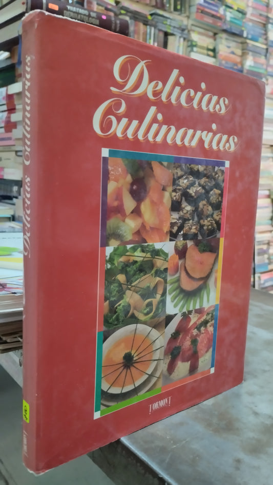 DELICIAS CULINARIAS LIBRO USADO COCINA ALDAMA