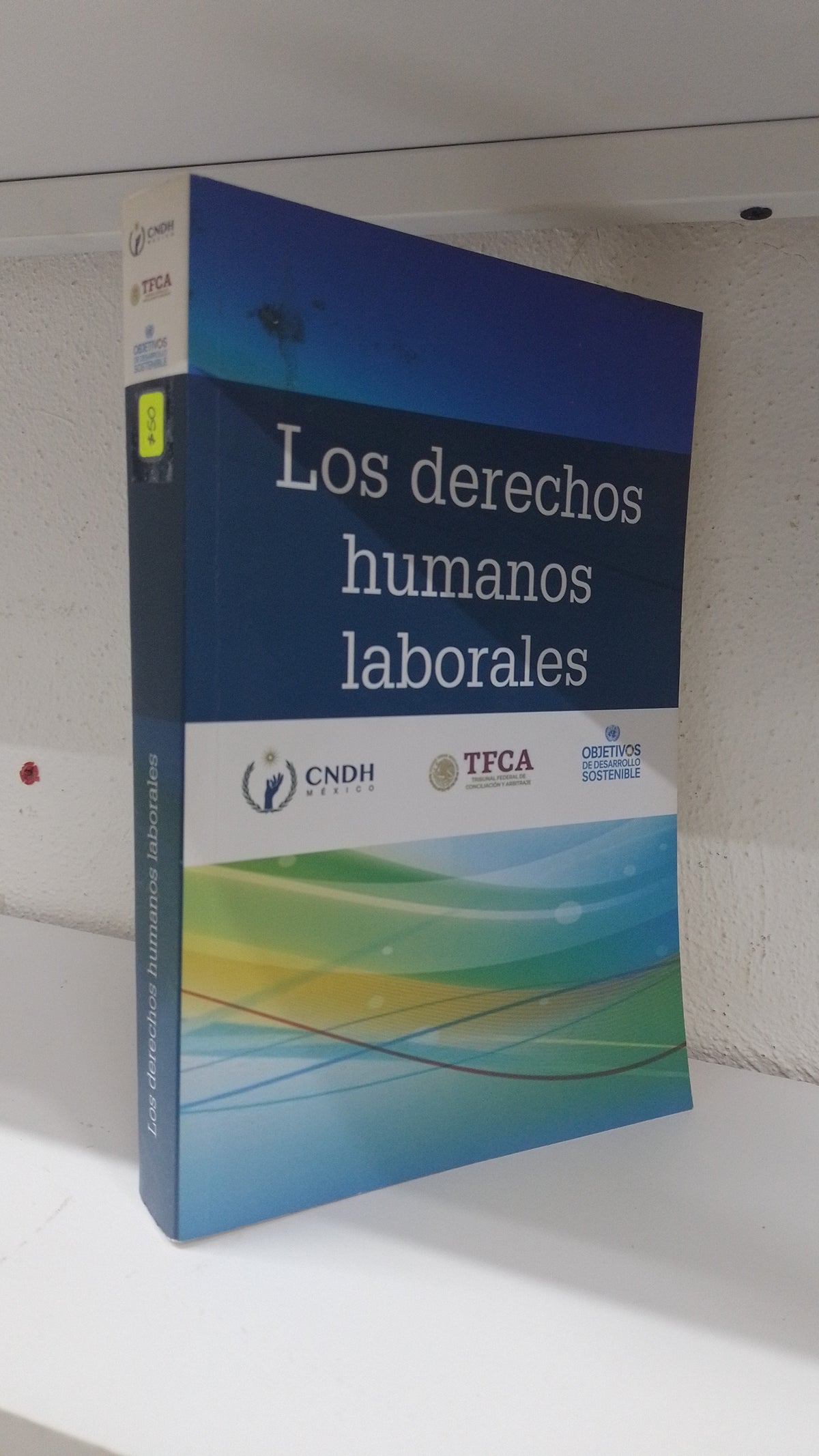 LOS DERECHOS HUMANOS LABORALES POR CNDH USADO DERECHO JUAREZ 515