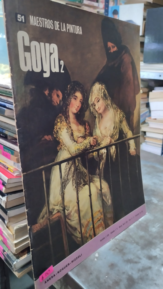 GOYA 2 LIBRO USADO ARTE ALDAMA