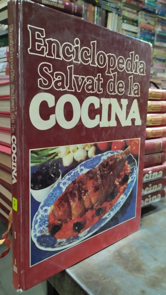 ENCICLOPEDIA SALVAT DE LA COCINA 1 LIBRO USADO COCINA ALDAMA