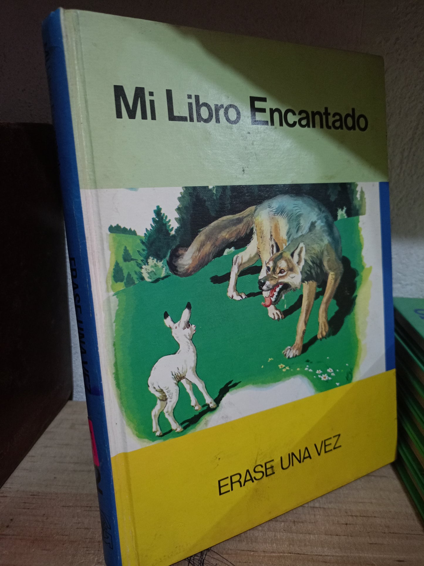 MI LIBRO ENCANTADO USADO INFANTIL LITERARIO 305