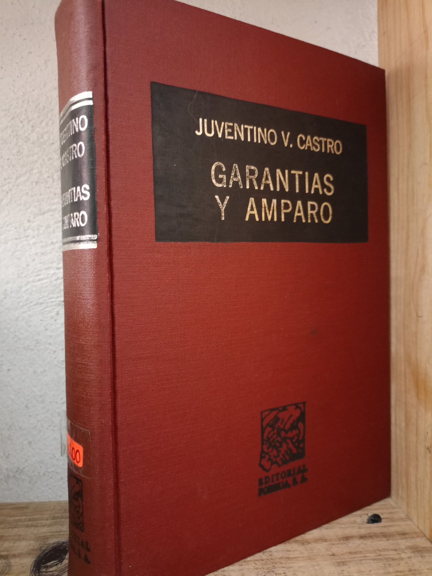 GARANTIAS Y AMOARO POR JUVENTINO V. CASTRO USADO DERECHO LITERARIO 305