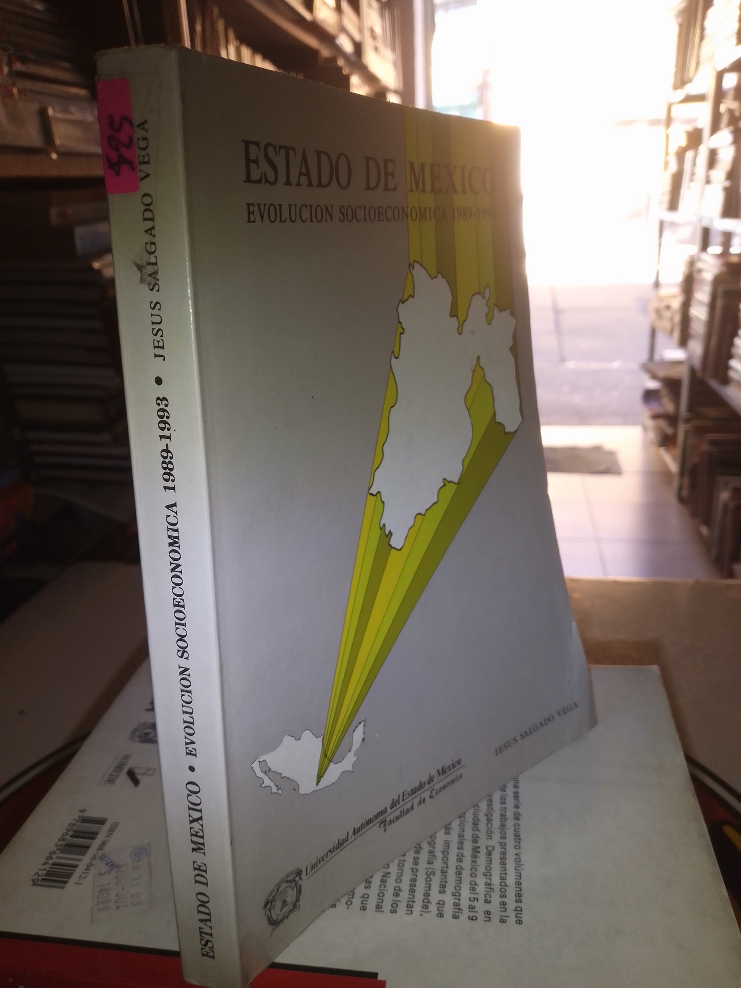 ESTADO DE MÉXICO EVOLUCIÓN SOCIOECONÓMICA 1989 1993 POR JESÚS SALGADO VEGA USADO SOCIOLOGÍA LITERARIO 207