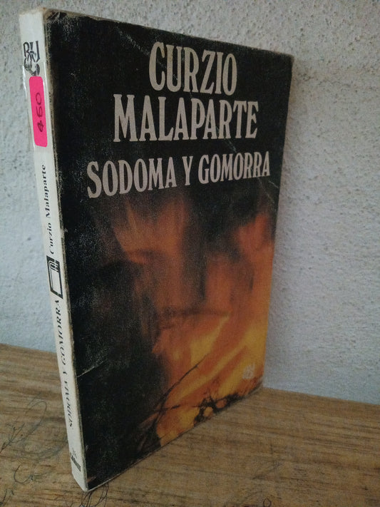 CURZIO MALAPARTE SODOMA Y GOMORRA USADO NOVELA LITERARIO 305
