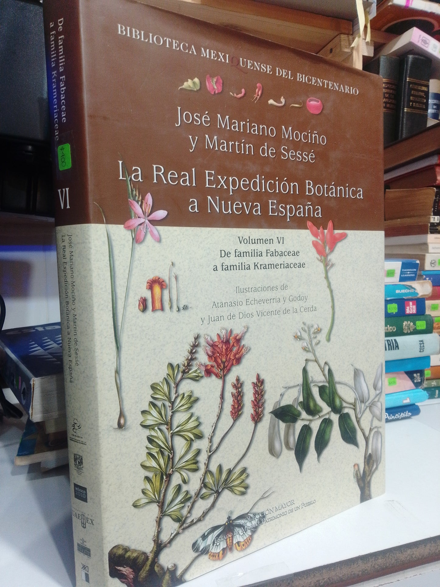LA REAL EXPEDICION BOTANICA A NUEVA ESPAÑA POR JOSE MARIANO MOCIÑO Y MARTIN DE SESSE USADO AGRICULTURA JUAREZ