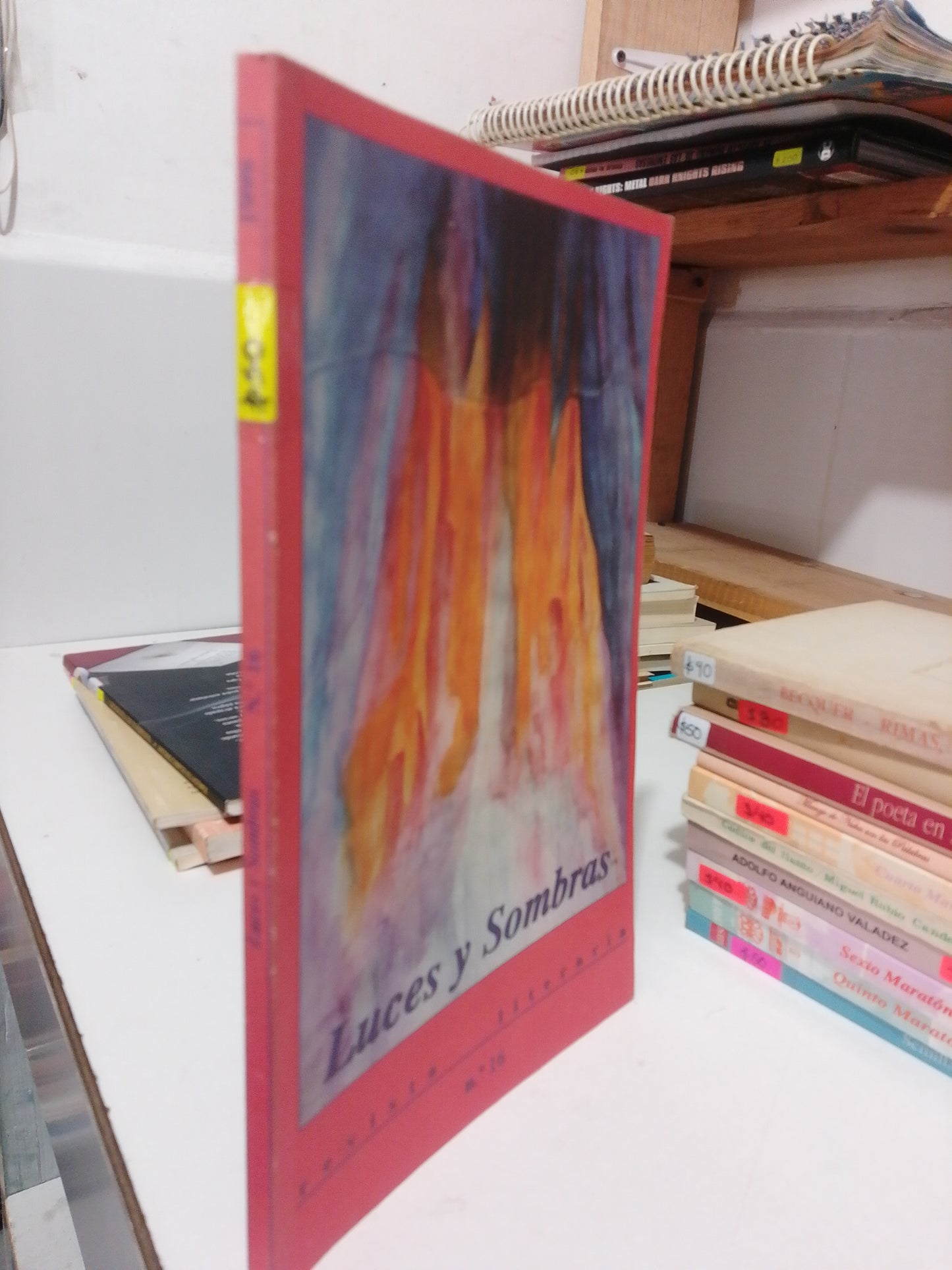 LUCES Y SOMBRAS REVISTA LITERARIA 16 USADO POESIA JUAREZ