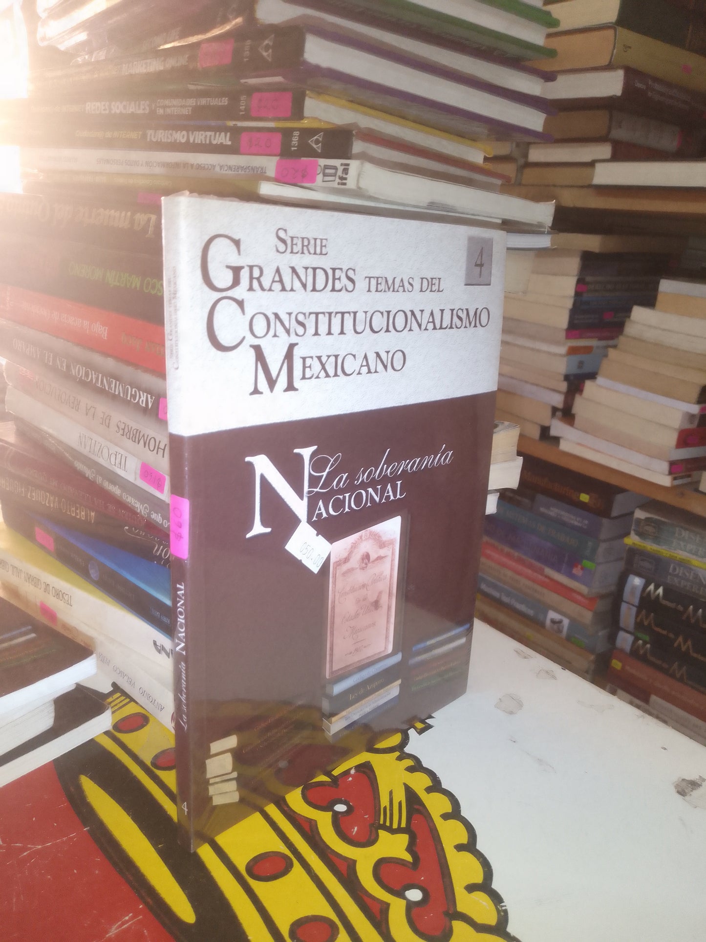 LA SOBERANÍA NACIONAL POR EL PODER JUDICIAL DE LA FEDERACIÓN USADO DERECHO LITERARIO 207