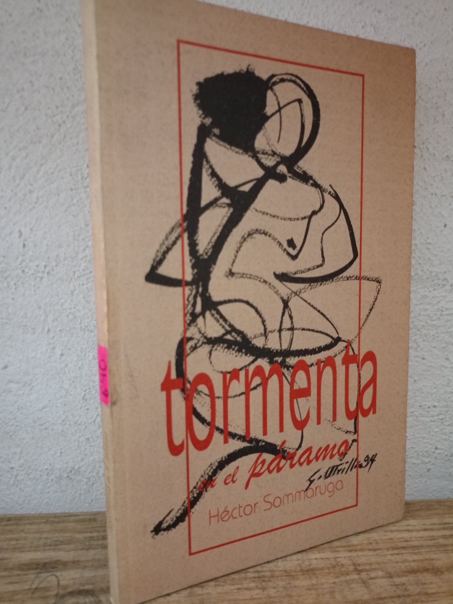 TORMENTA EN EL PARAMO HECTOR SOMMARUGA USADO NOVELA LITERARIO 305