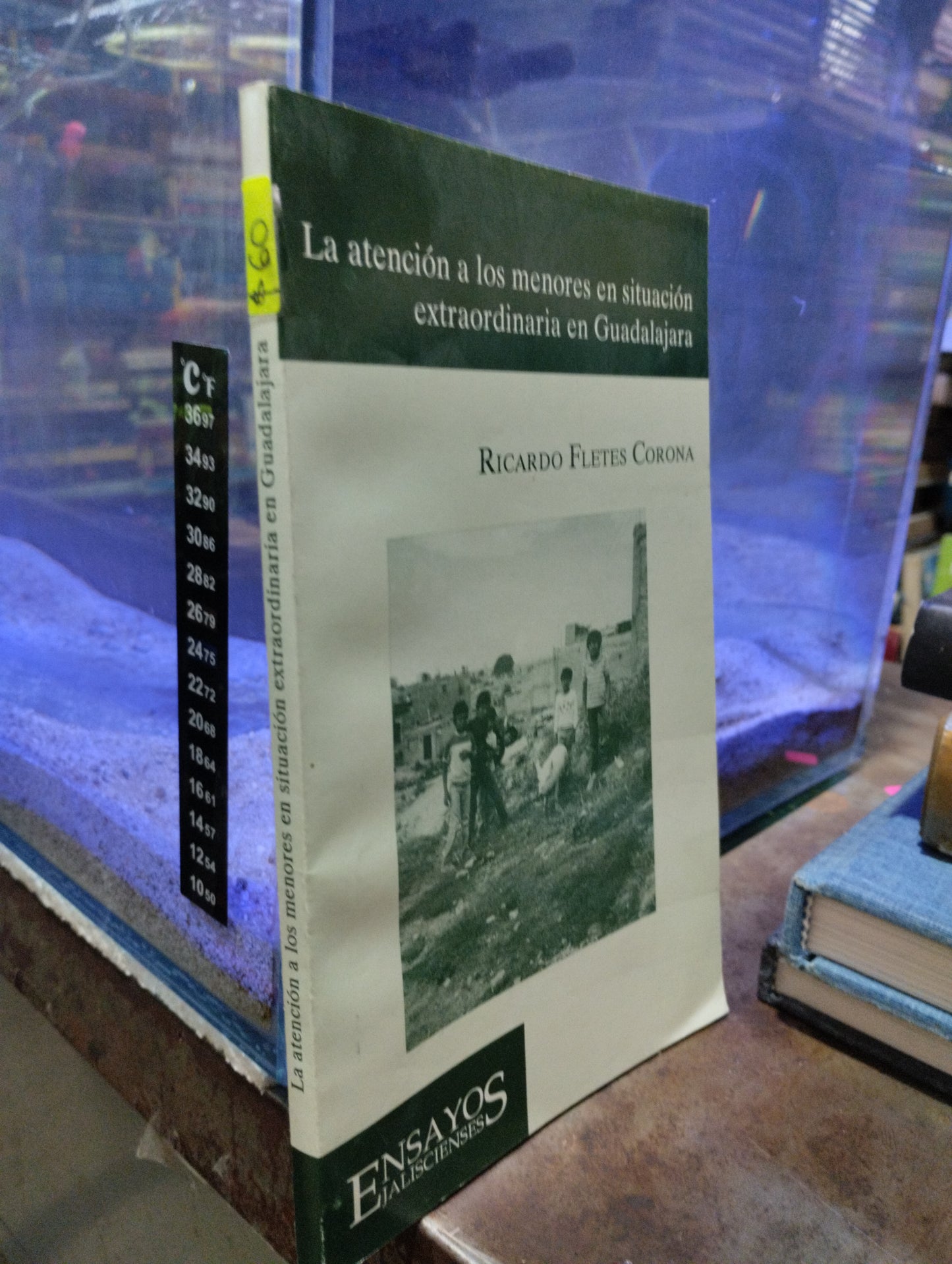 LA ATENCION A LOS MENORES EN SITUACION EXTRAORDINARIA EN GUADALAJARA POR RICARDO FLETES CORONA USADO SOCIOLOGIA ALDAMA