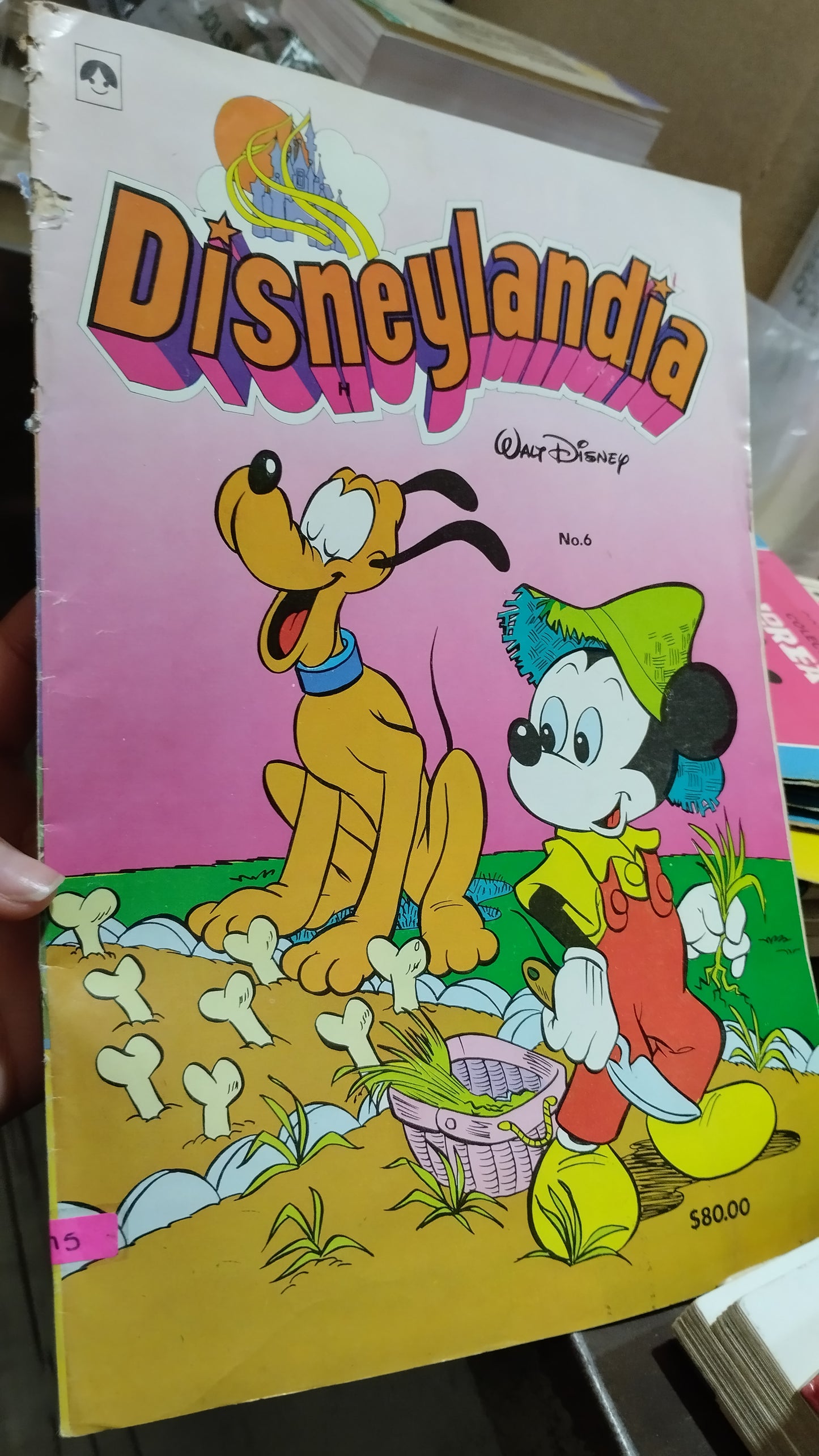 DISNEYLANDIA 6 POR EDITORIAL CONDOR LIBRO USADO INFANTIL ALDAMA