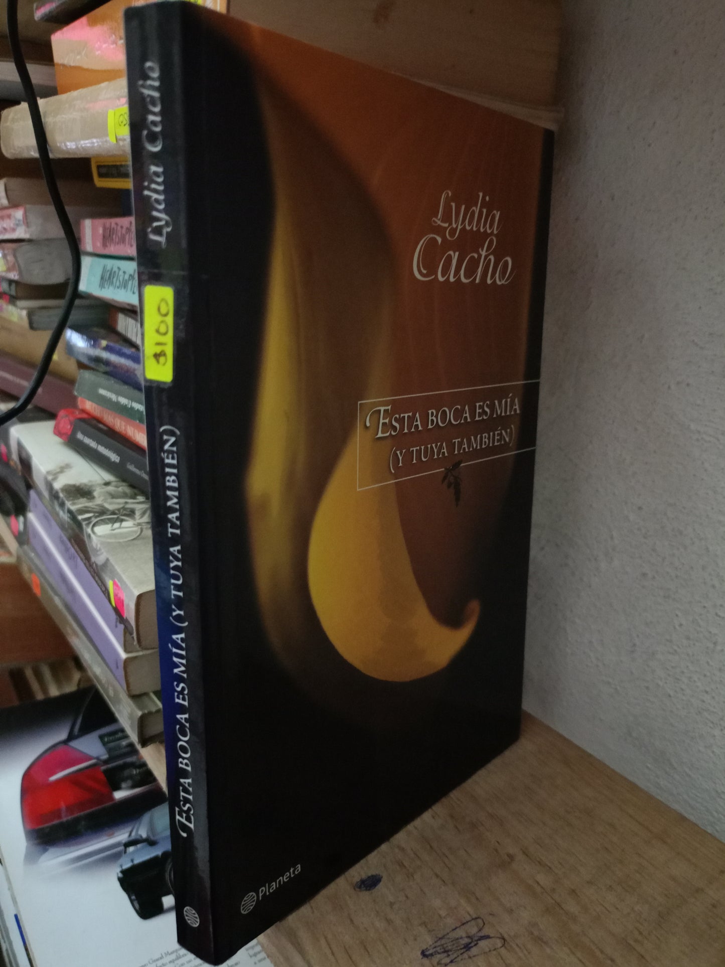 ESTA BOCA ES MIA Y TUYA TAMBIÉN POR LYDIA CACHO USADO POLITICA LITERARIO 305