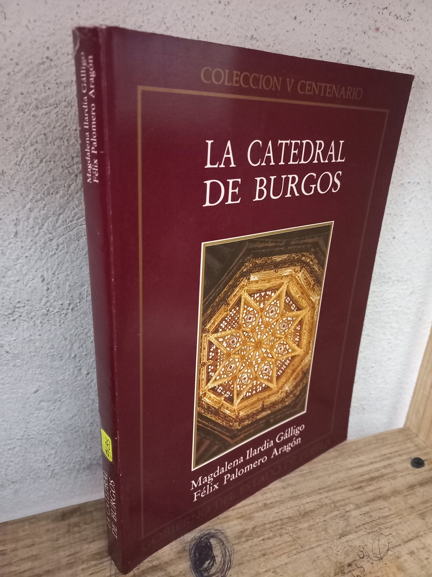 LA CATEDRAL DE BURGOS POR MAGDALENA ILARDIA GÁLLIGO Y FÉLIX PALOMERO ARAGÓN USADO HISTORIA LITERARIO 305