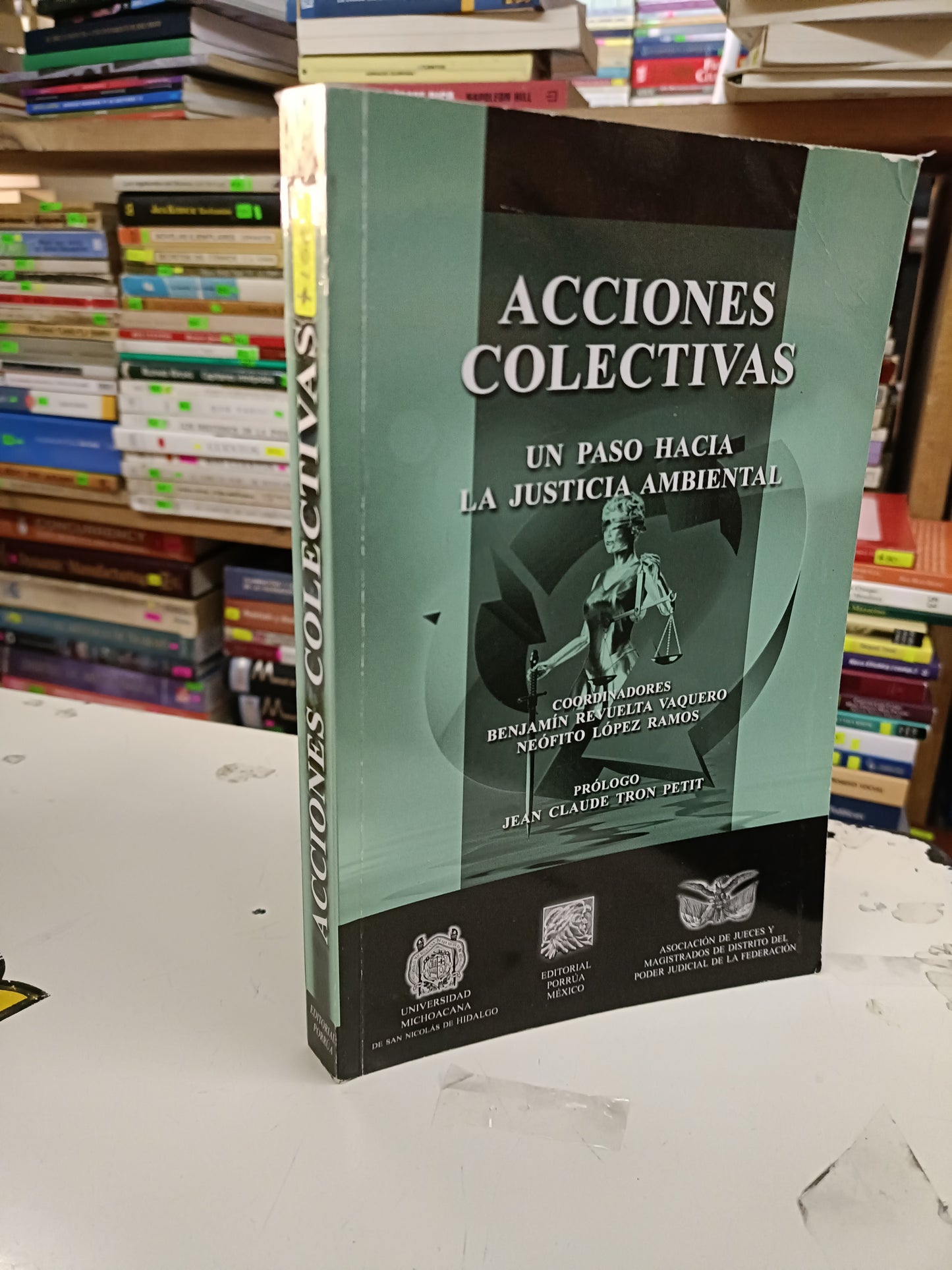 ACCIONES COLECTIVAS COORDINADO POR VAQUERO Y RAMOS USADO DERECHO LITERARIO 207