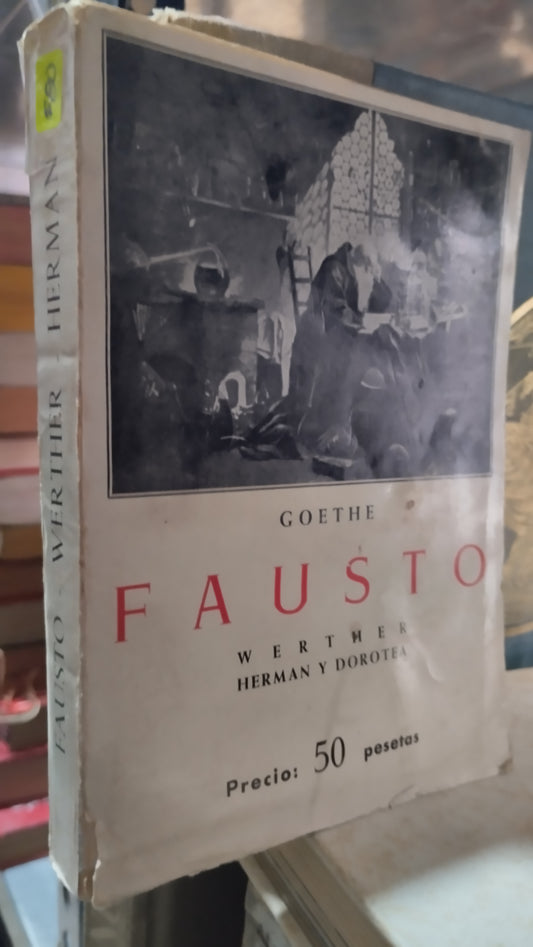 FAUSTO WERTHER HERMAN Y DOROTEA LIBRO USADO NOVELAS ALDAMA