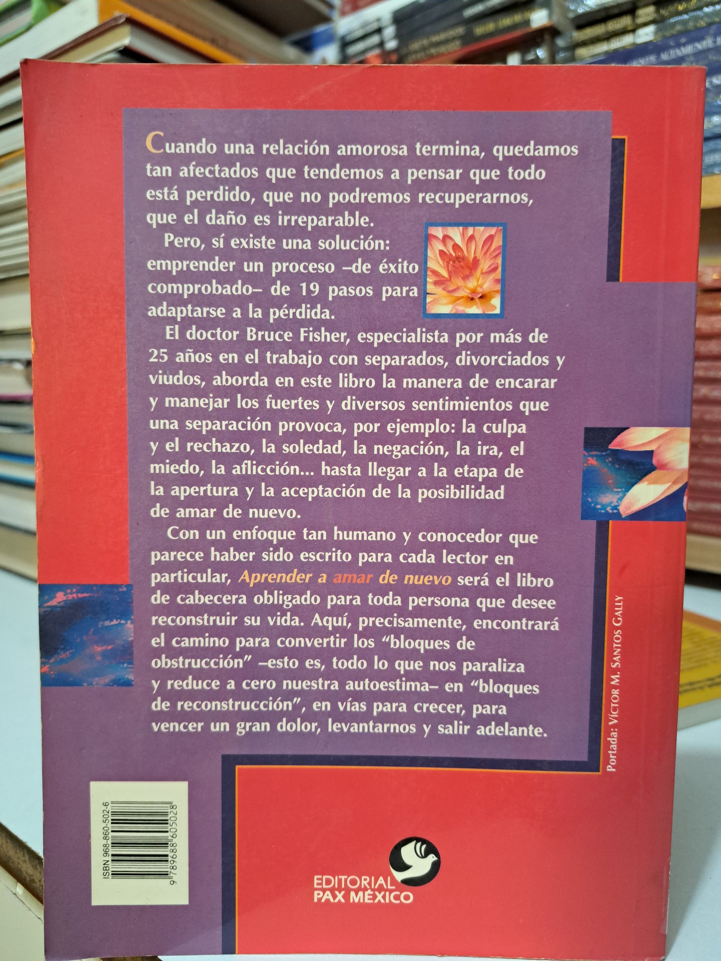 APRENDER A AMAR DE NUEVO BRUCE FISHER USADO QUE SUPERACIÓN PERSONAL JUÁREZ
