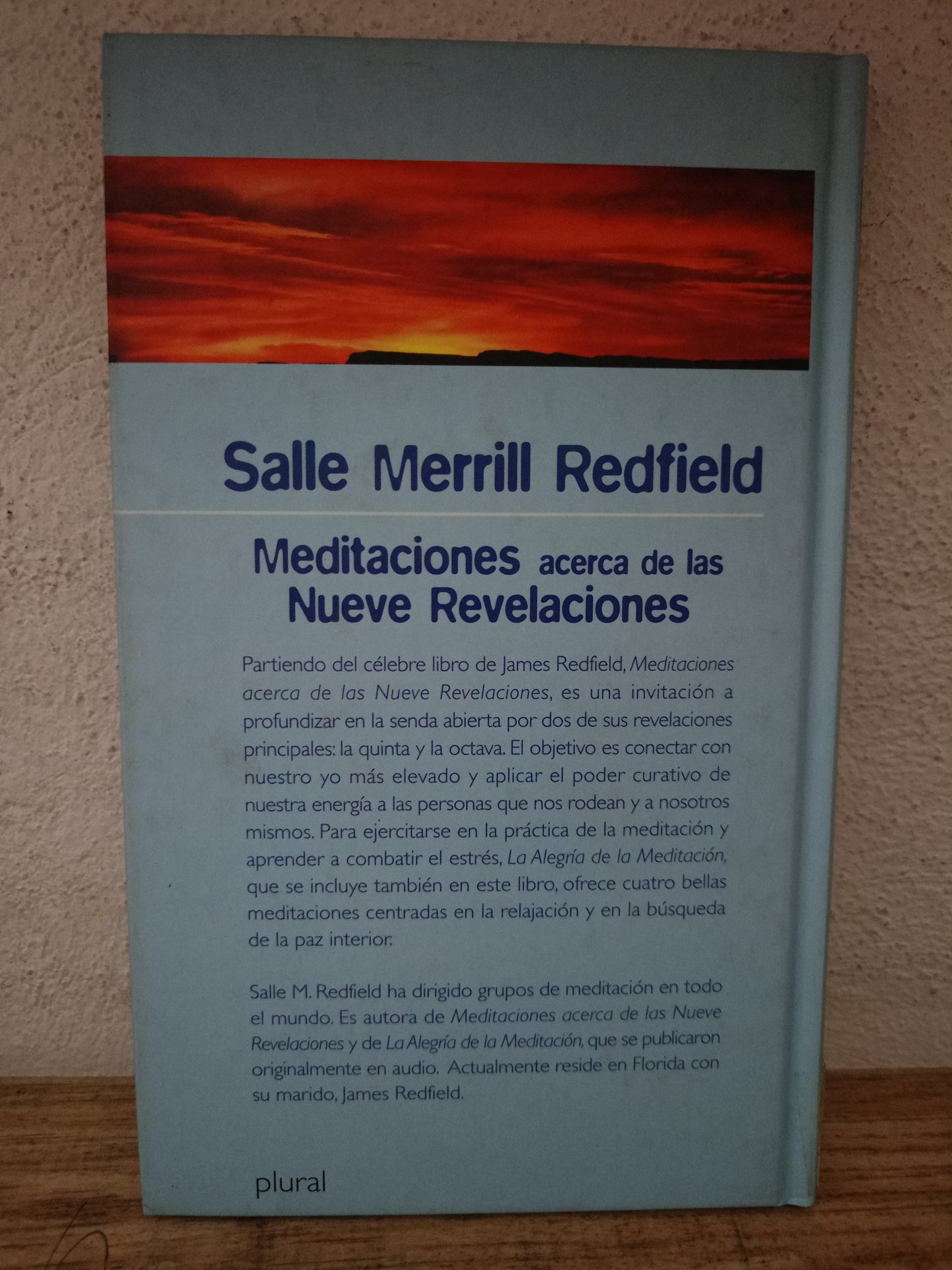 MEDITACIONES ACERCA DE LAS NUEVE REVELACIONES POR SALLE MERRILL REDFIELD USADO SUPERACIÓN PERSONAL LITERARIO 305