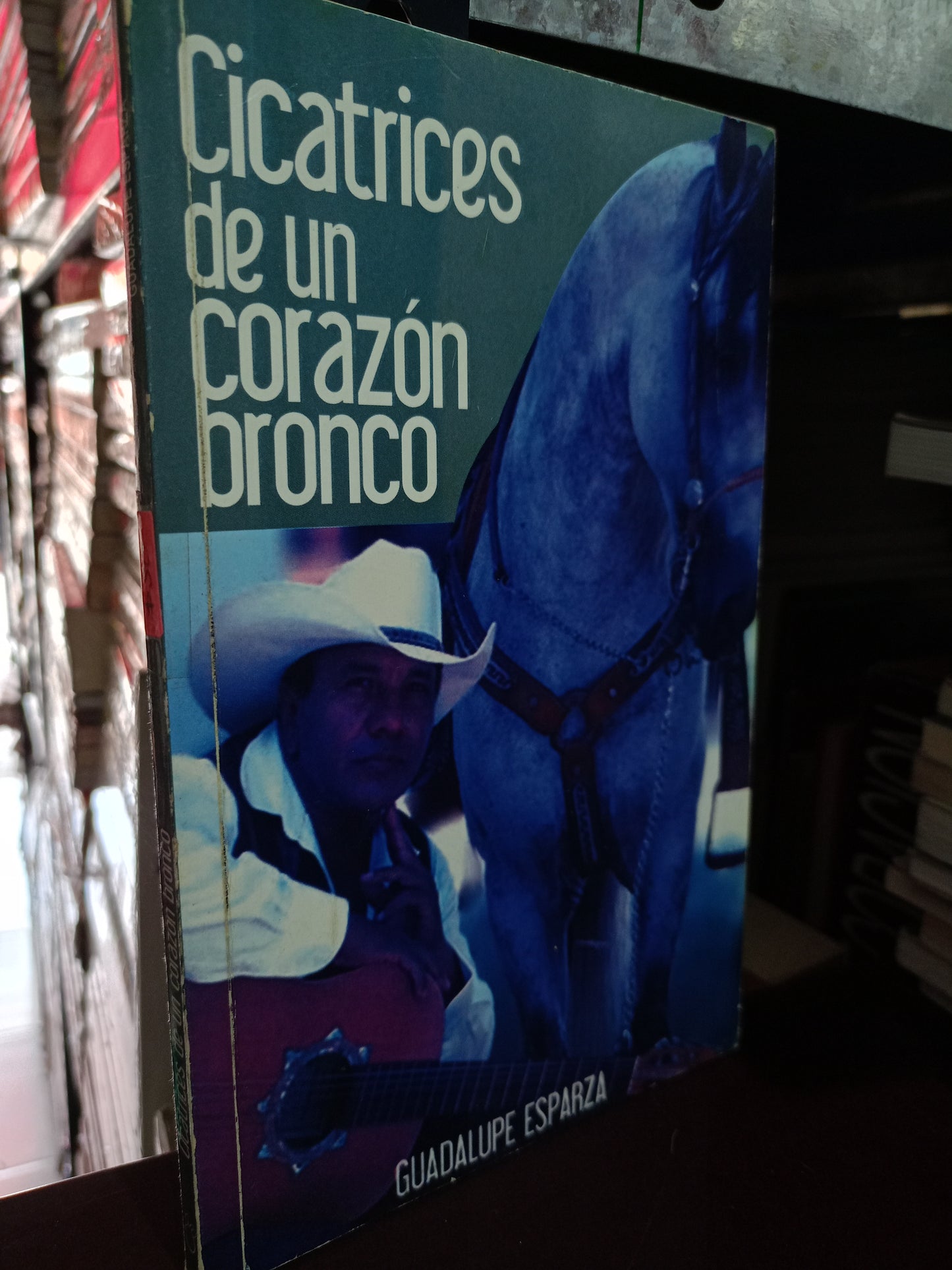 CICATRICES DE UN CORAZÓN BRONCO GUADALUPE ESPERANZA USADO S.PERSONAL  LITERARIO #305