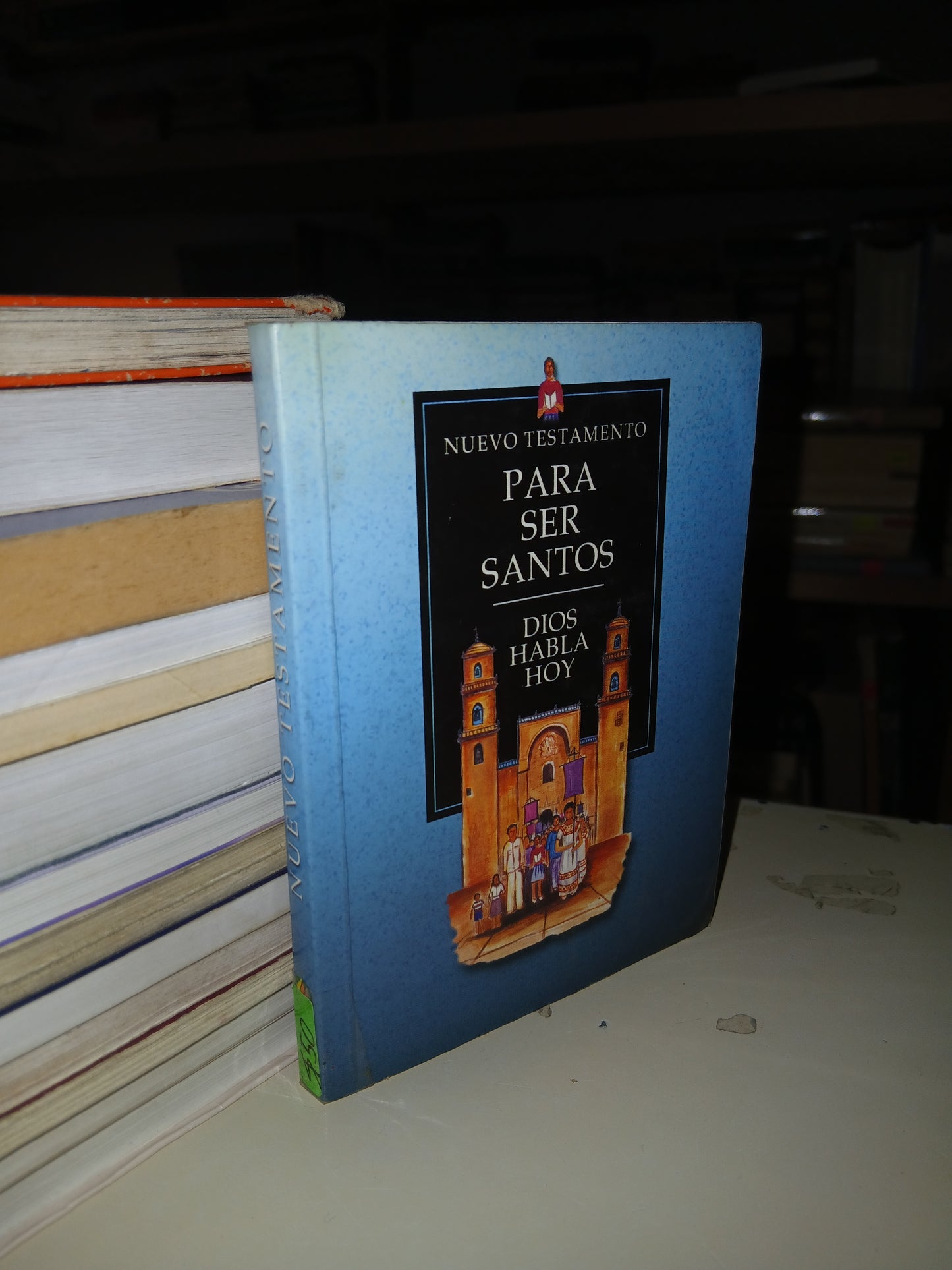 NUEVO TESTAMENTO: PARA SER SANTOS. DIOS HABLA HOY USADO RELIGIÓN LITERARIO 207