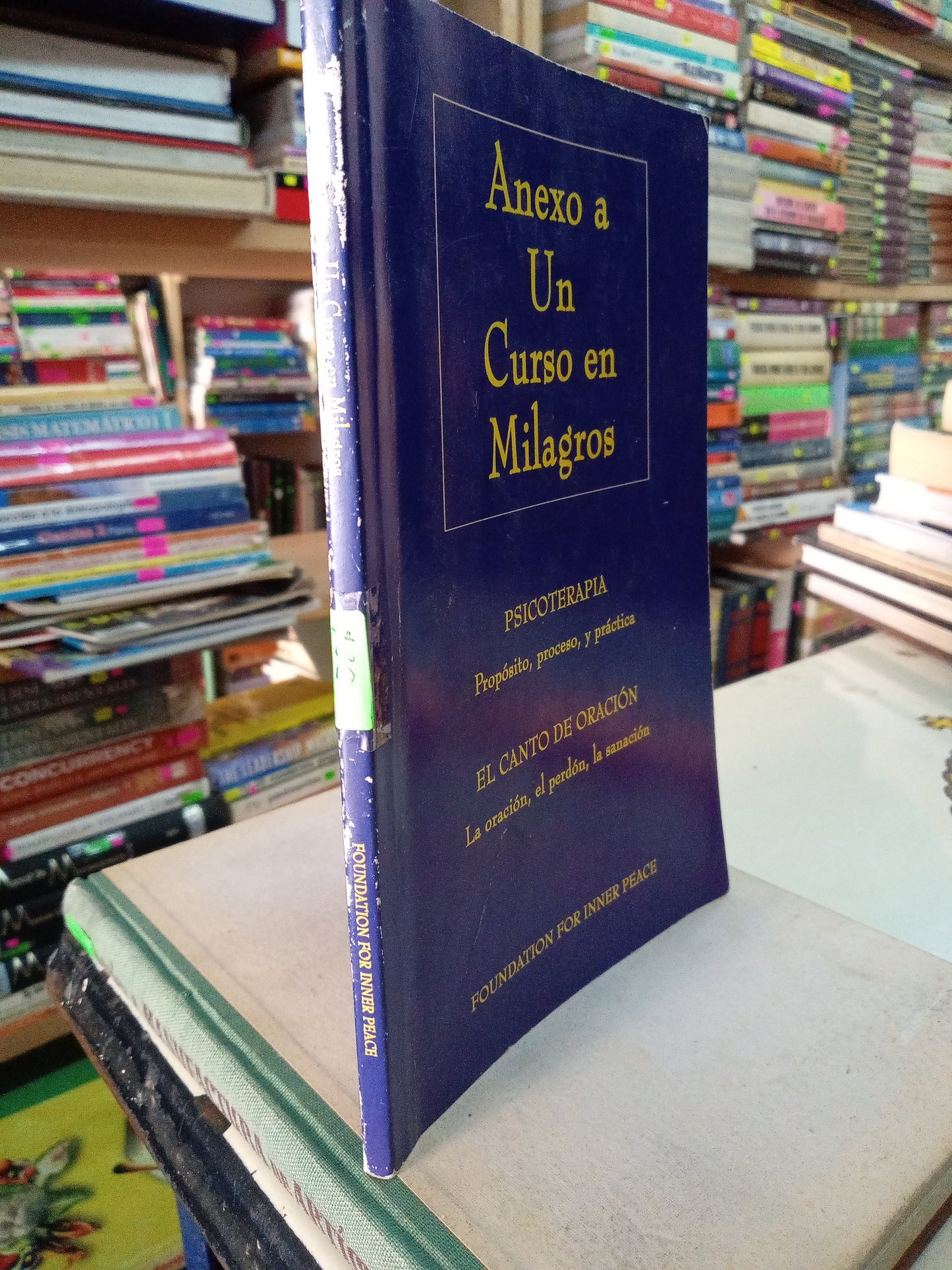 ANEXO A UN CURSO EN MILAGROS PSICOTERAPIA USADO SUPERACION PERSONAL LITERARIO 207