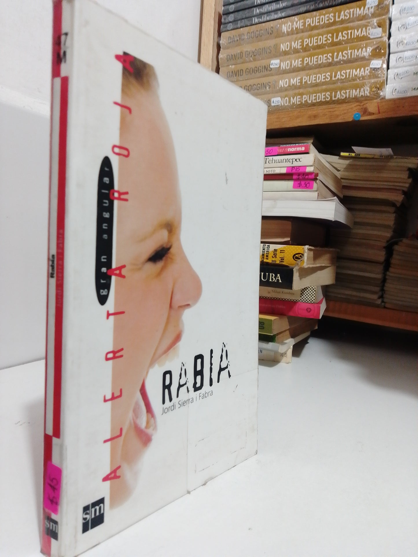 RABIA POR JORDI I FABRA USADO NOVELA JUAREZ