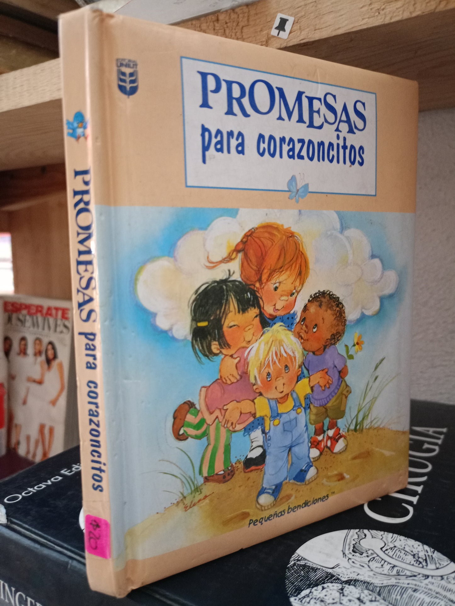 PROMESAS PARA CORAZONCITOS USADO RELIGION LITERARIO 305
