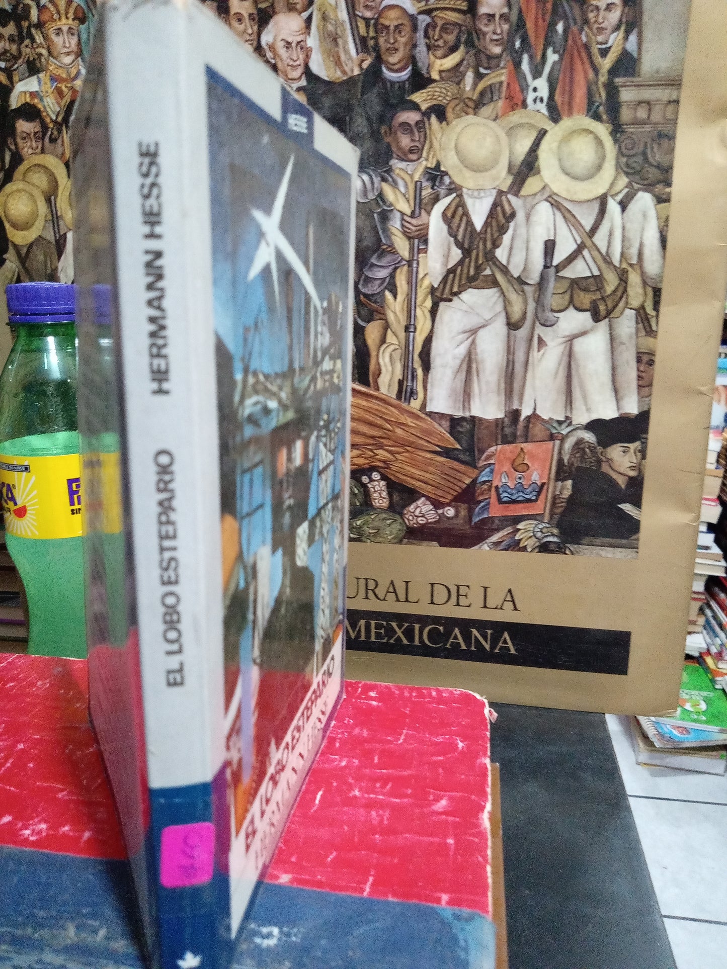 EL LOBO ESTEPARIO HERMANN HESSE USADO NOVELA JUAREZ